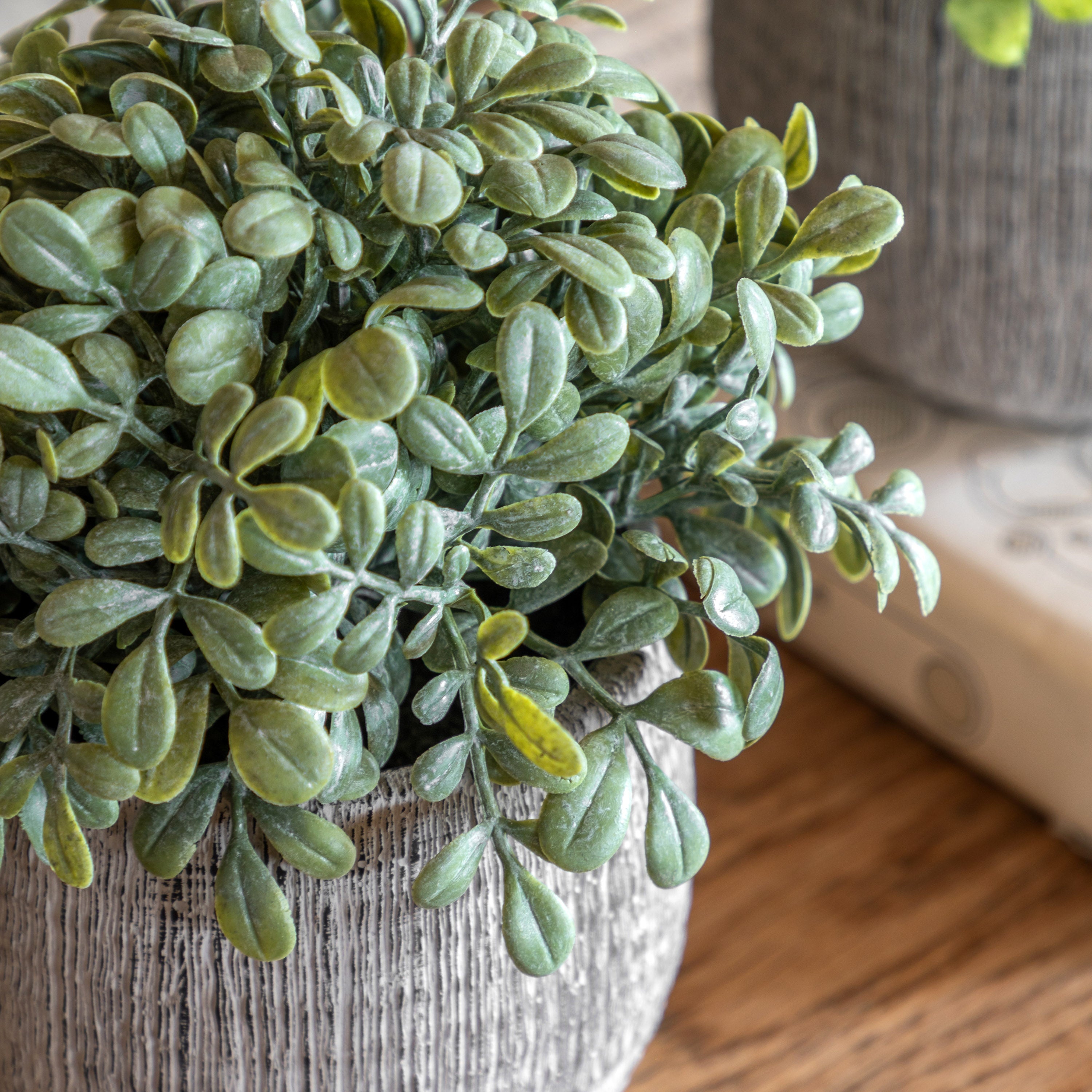 Alderridge Set of 2 Potted Plant Ceramic Scratch Pots Sage