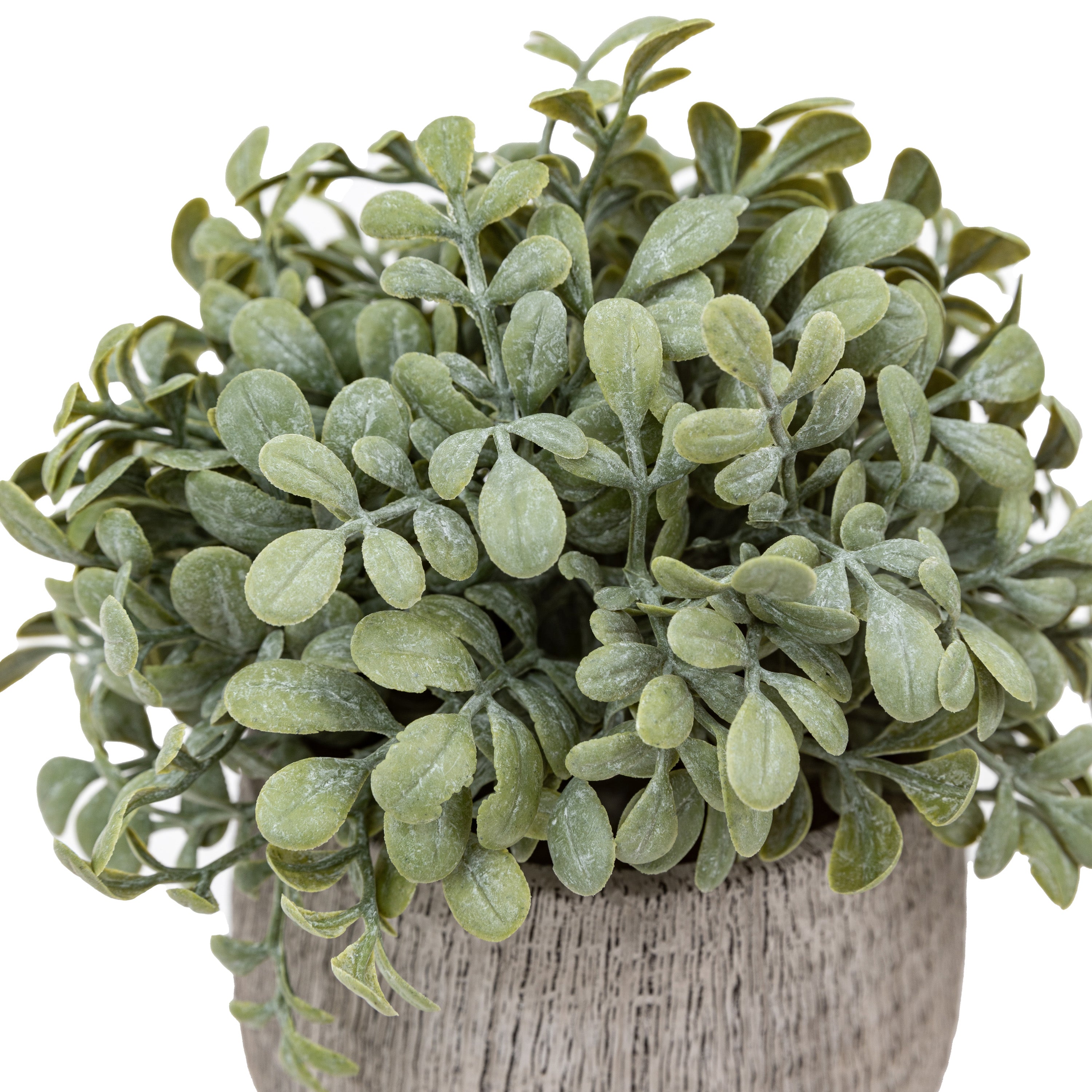 Alderridge Set of 2 Potted Plant Ceramic Scratch Pots Sage