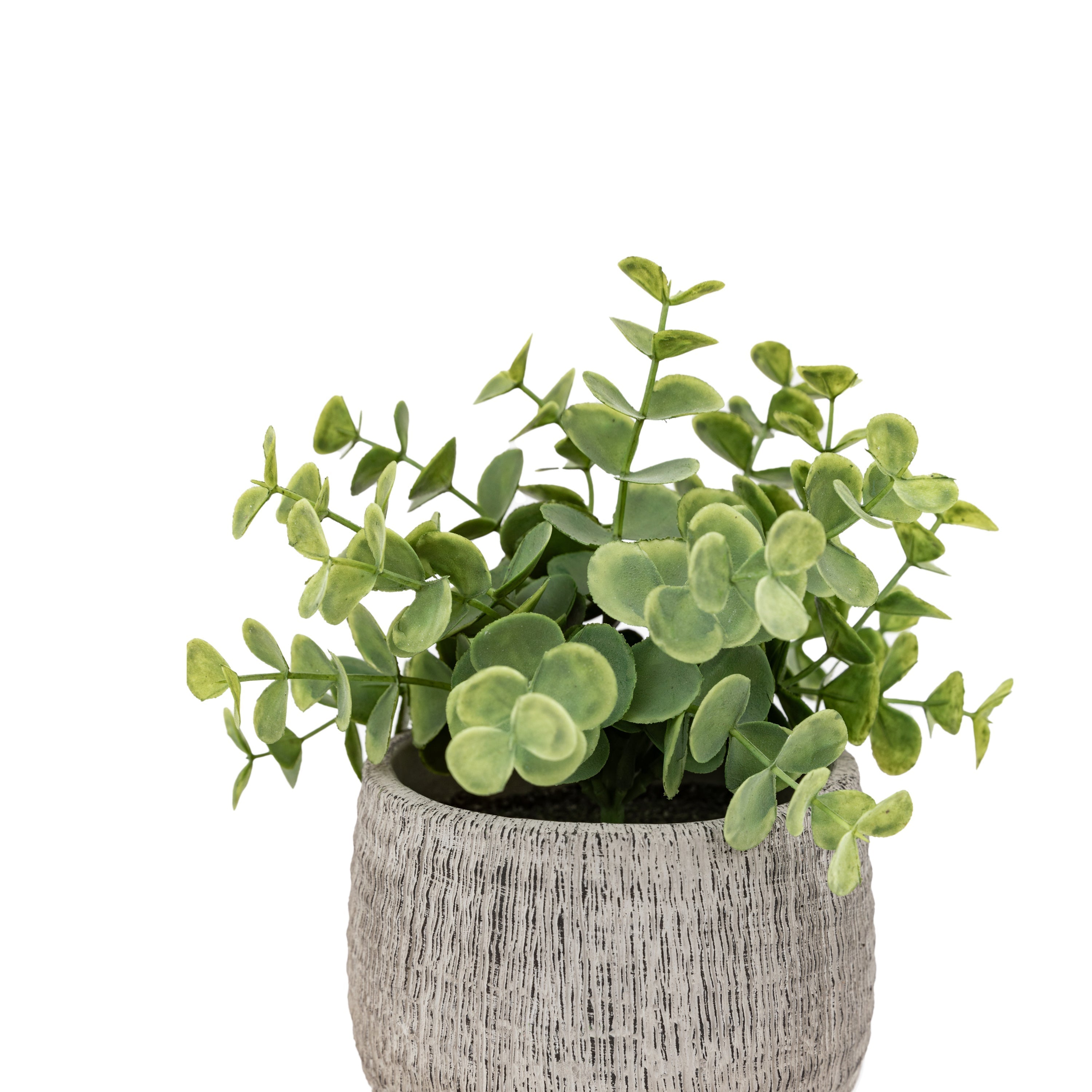 Alderridge Set of 2 Potted Plant Ceramic Scratch Pots Sage