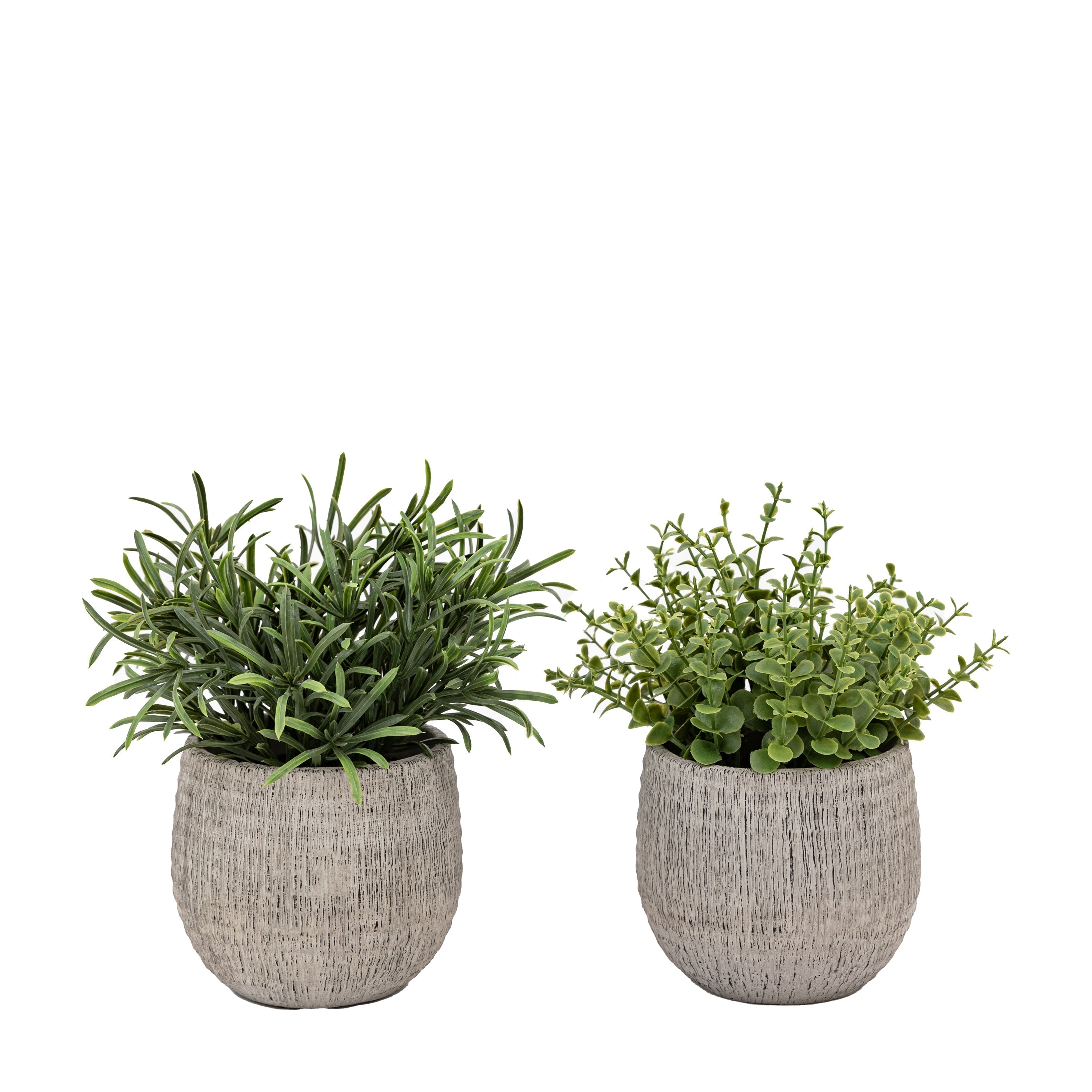 Set of 2 Potted Plant Ceramic Scratch Pot Rosemary