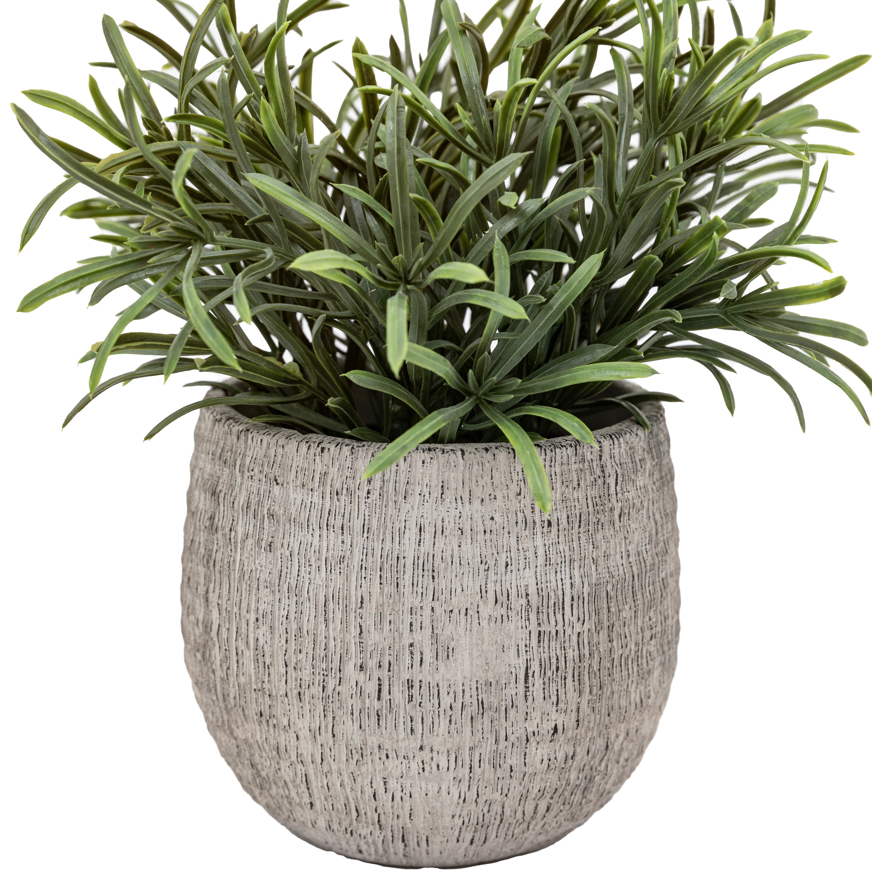 Set of 2 Potted Plant Ceramic Scratch Pot Rosemary