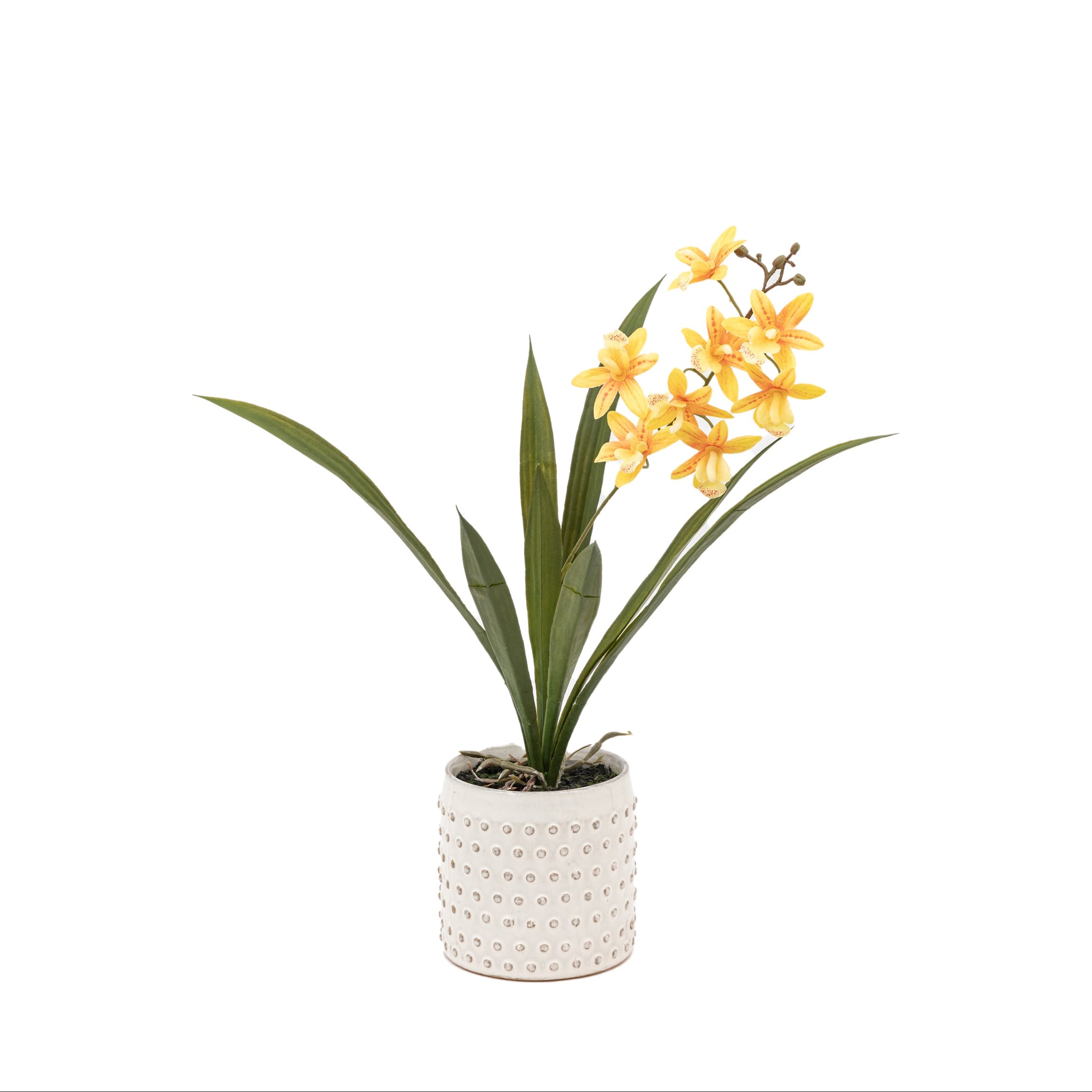 Artificial Orchid Orange in White Ceramic Dot Pot