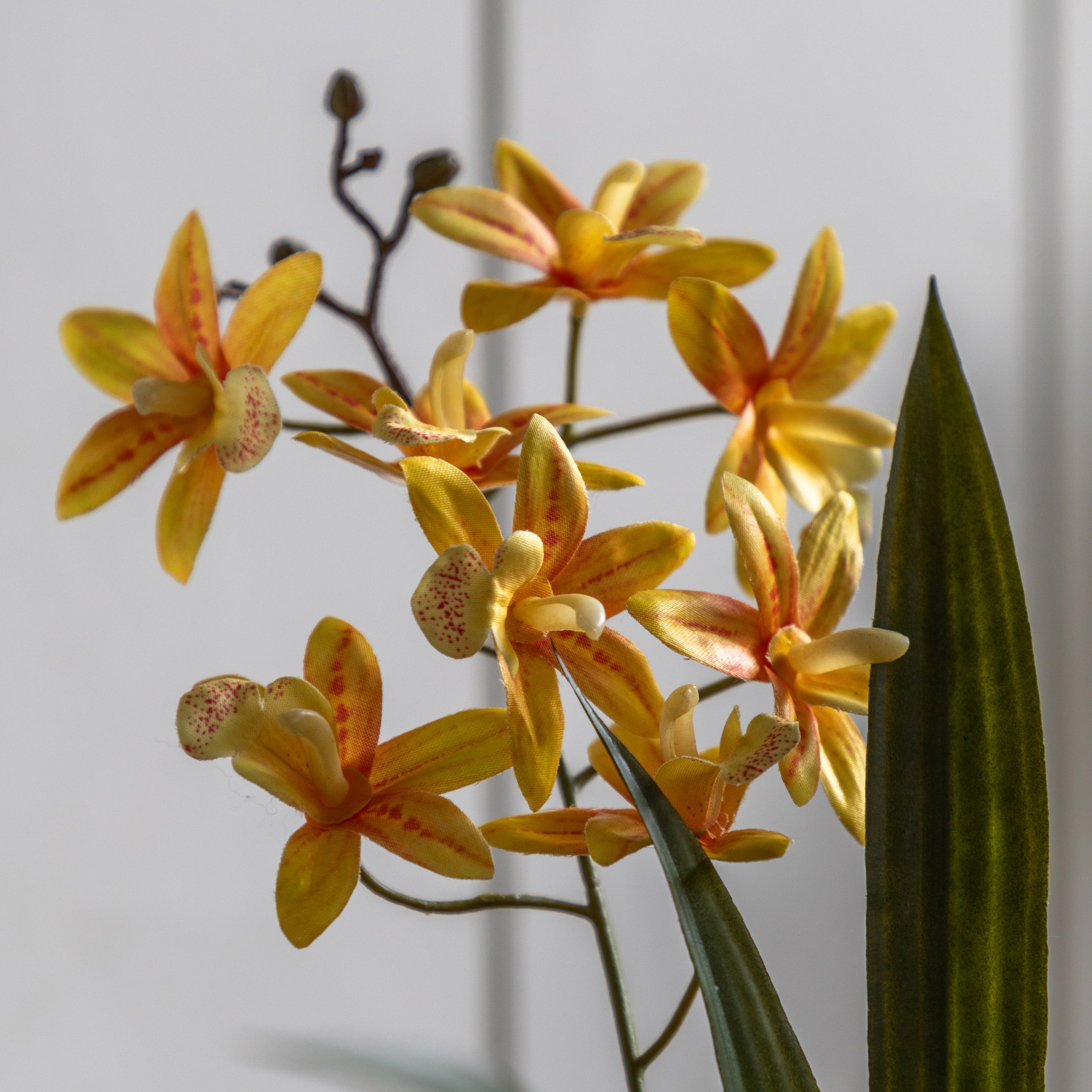 Artificial Orchid Orange in White Ceramic Dot Pot