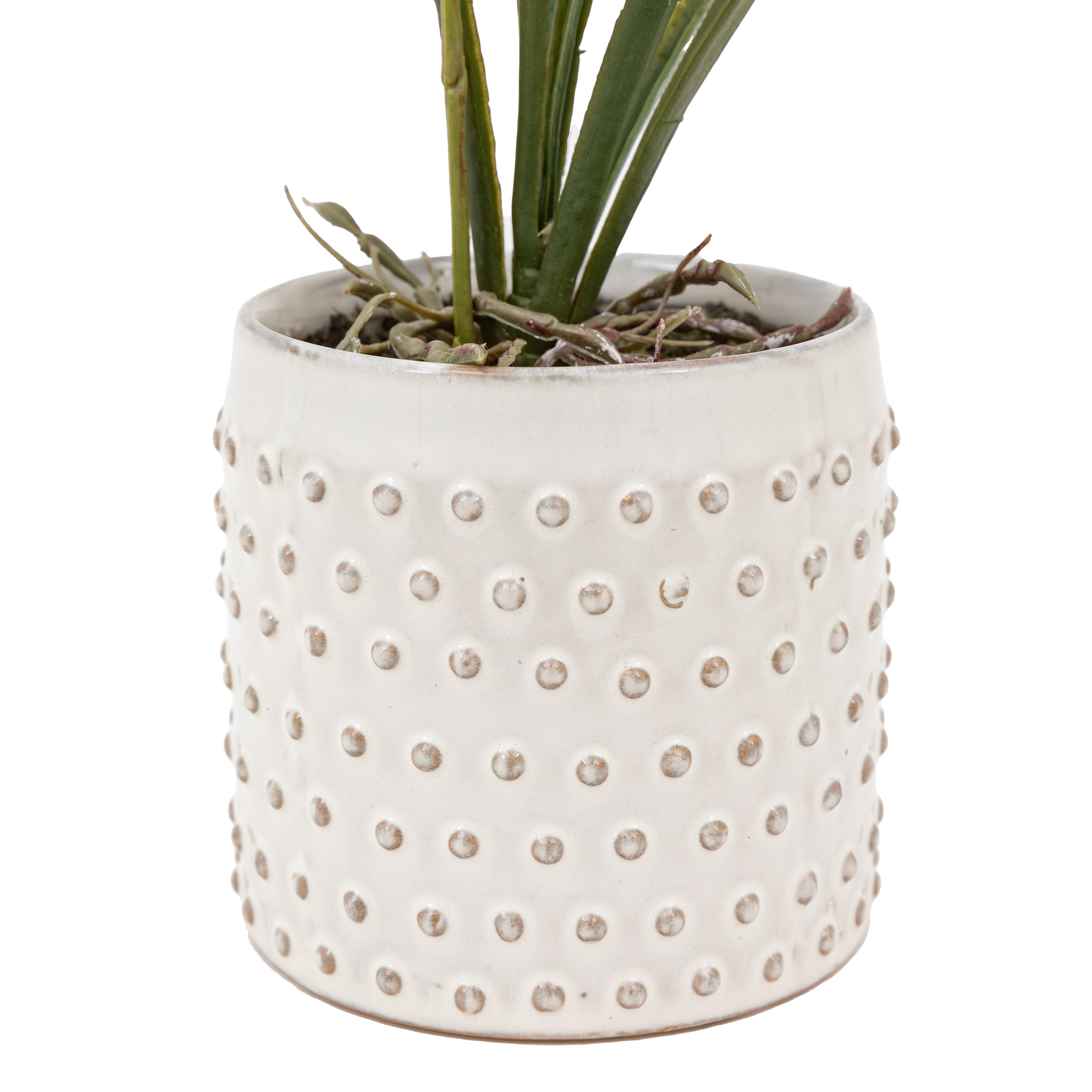 Artificial Orchid Orange in White Ceramic Dot Pot