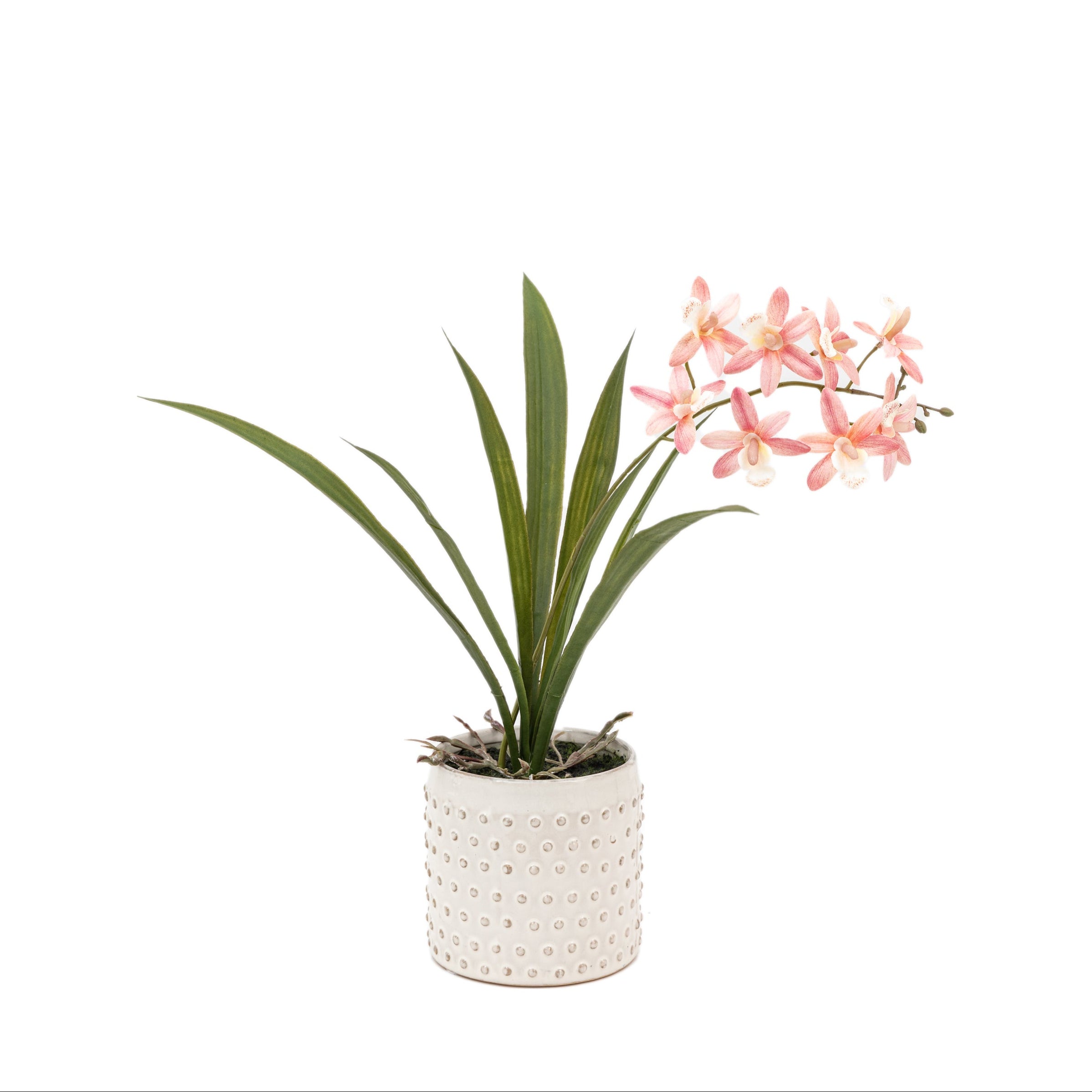 Artificial Orchid Pink in White Ceramic Dot Pot