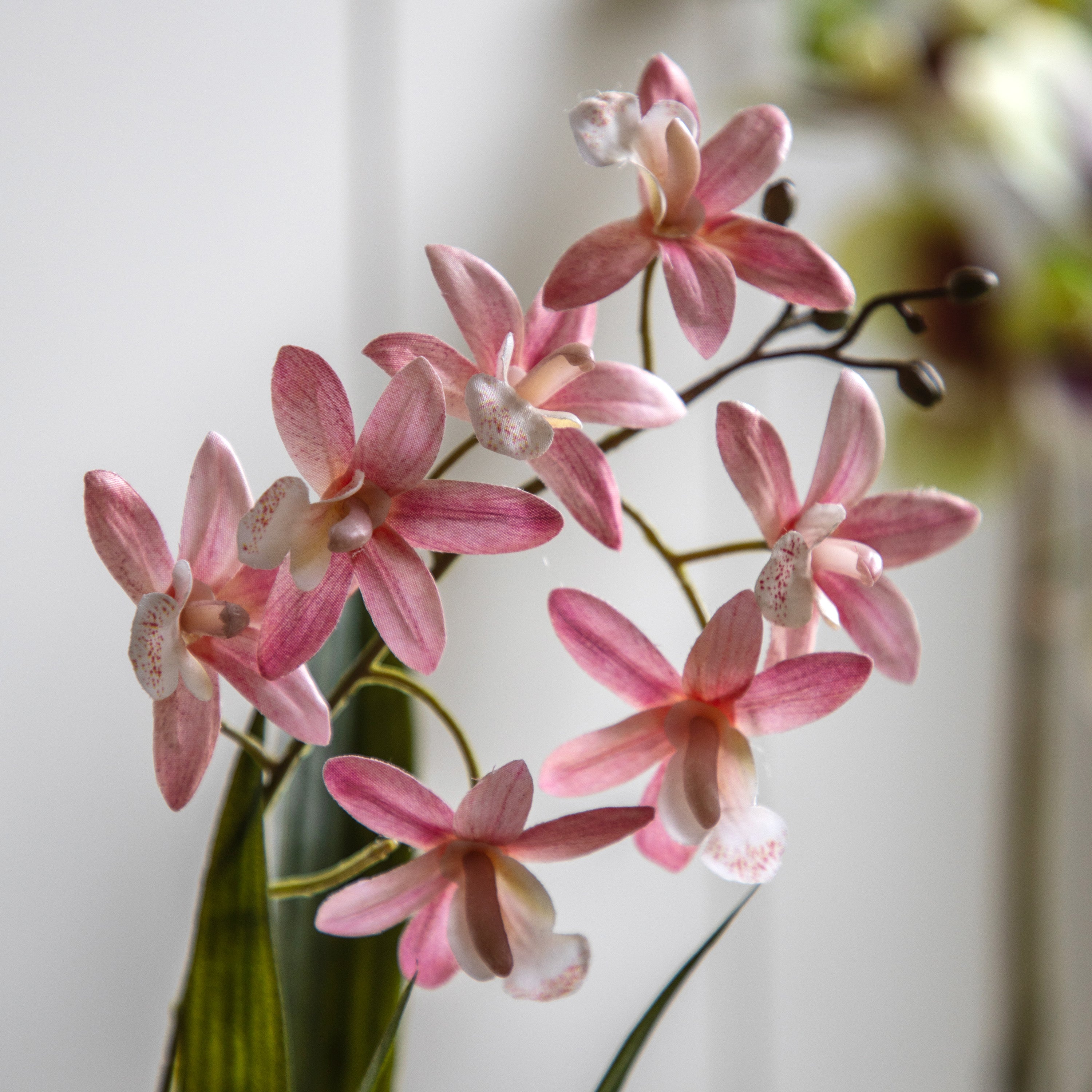 Artificial Orchid Pink in White Ceramic Dot Pot