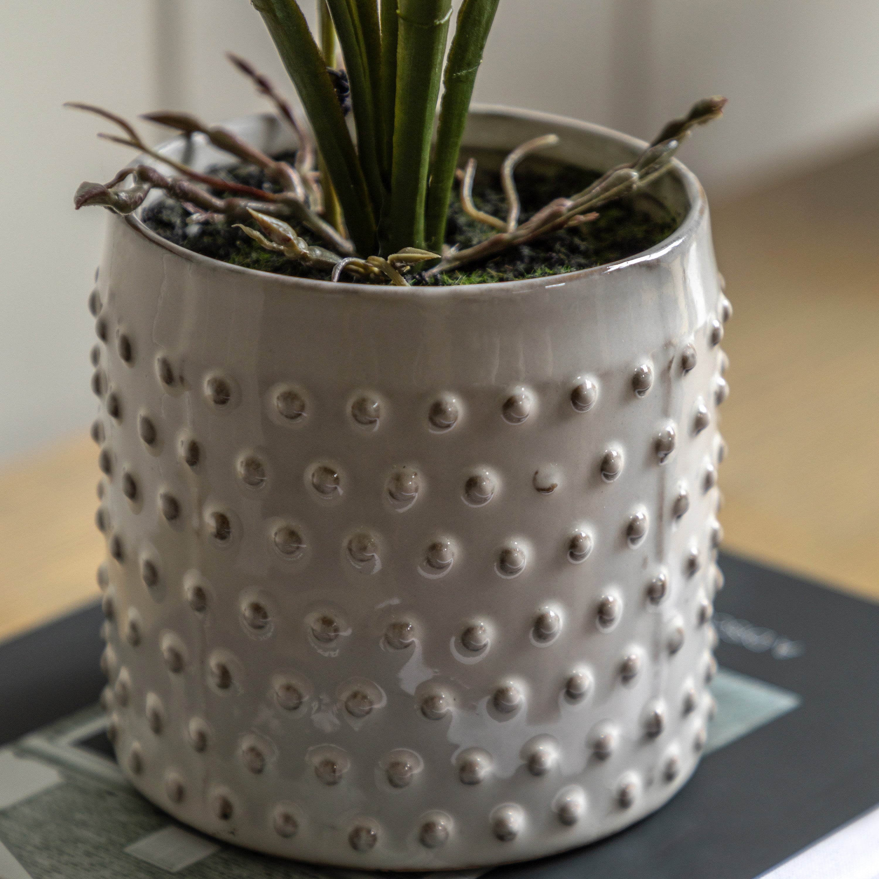 Artificial Orchid Pink in White Ceramic Dot Pot
