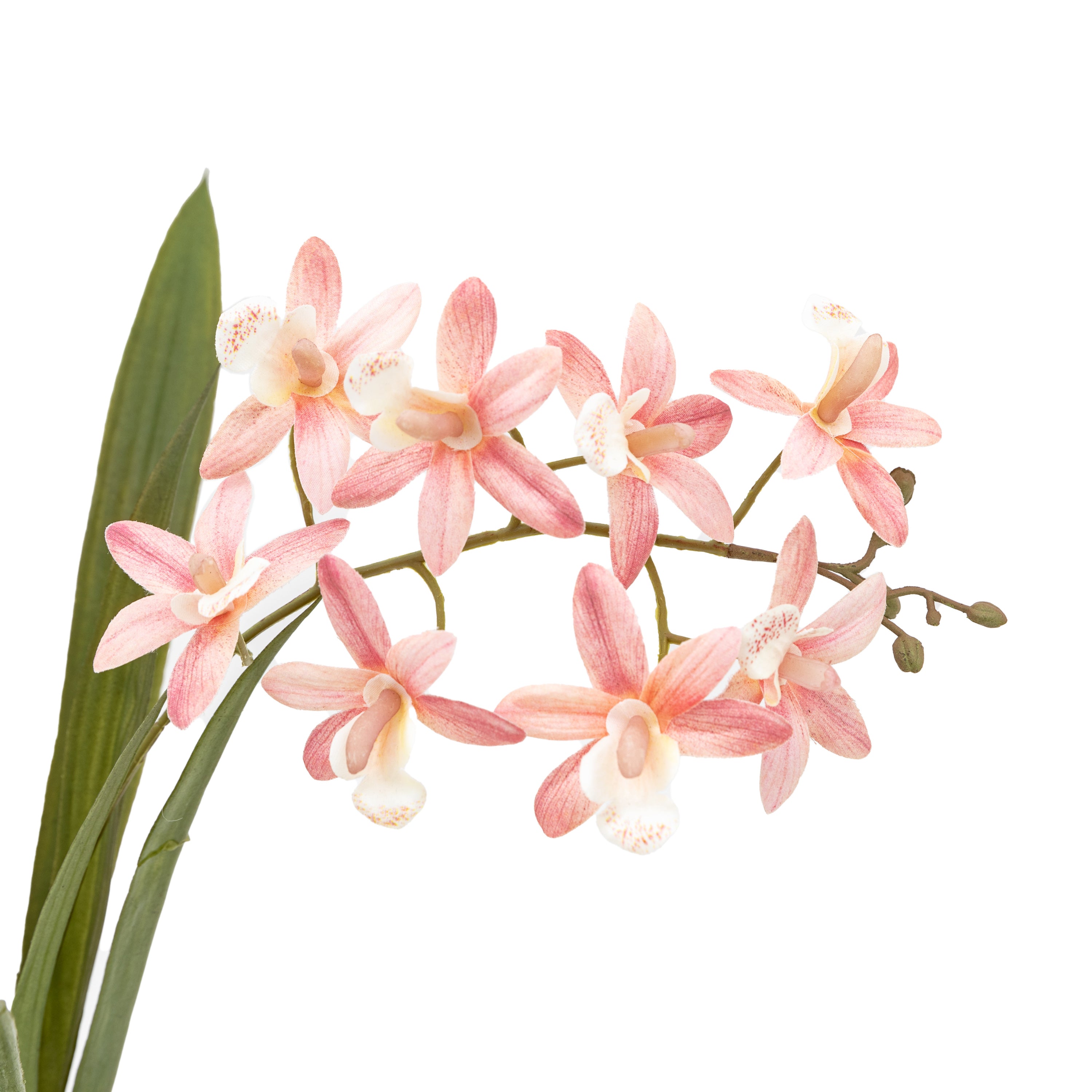Artificial Orchid Pink in White Ceramic Dot Pot