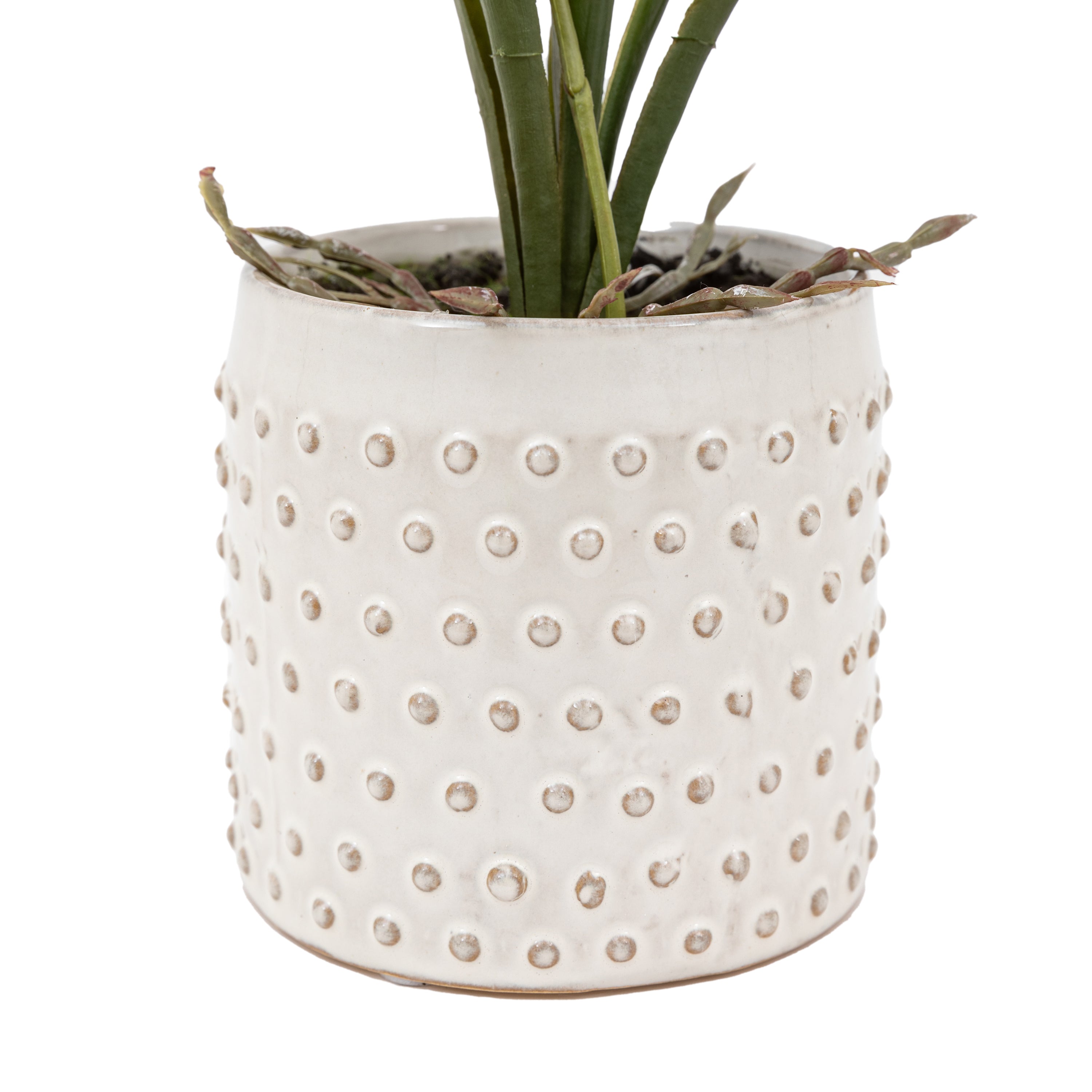 Artificial Orchid Pink in White Ceramic Dot Pot