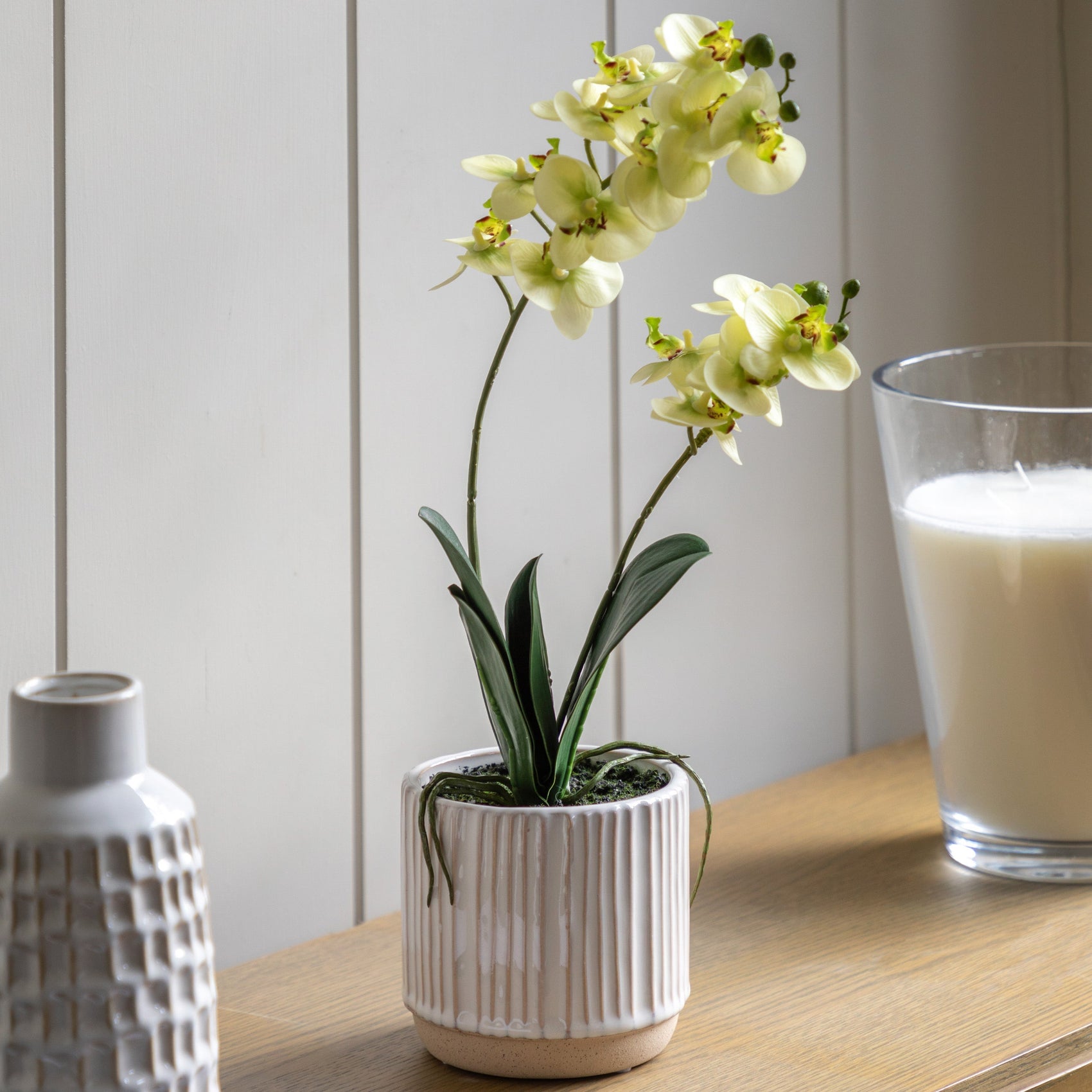 Artificial Orchid Cream in Ribbed White Ceramic Pot | Large