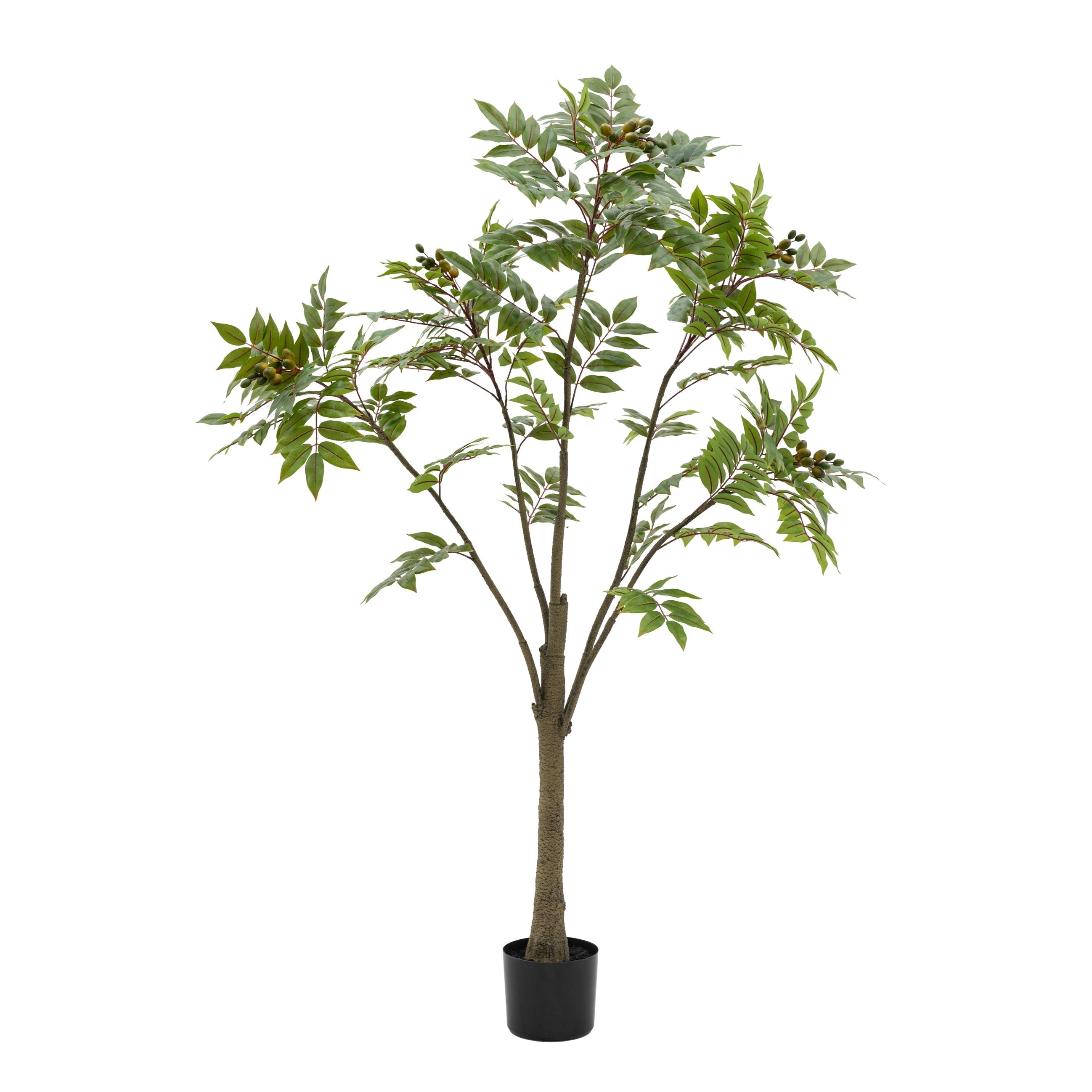 Potted Artificial Chinese White Olive Tree 5ft