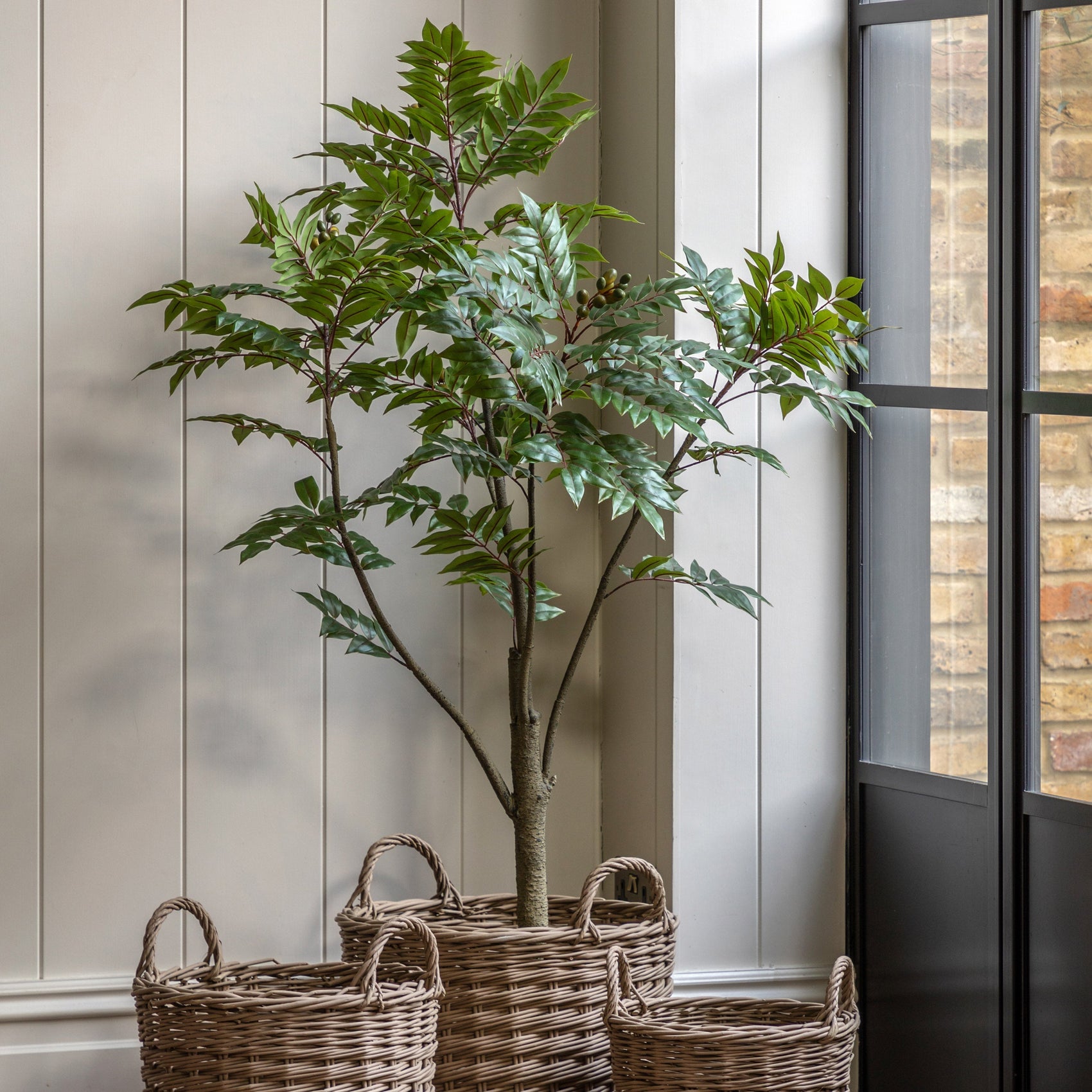 Alderridge Potted Artificial Chinese White Olive Tree 5ft