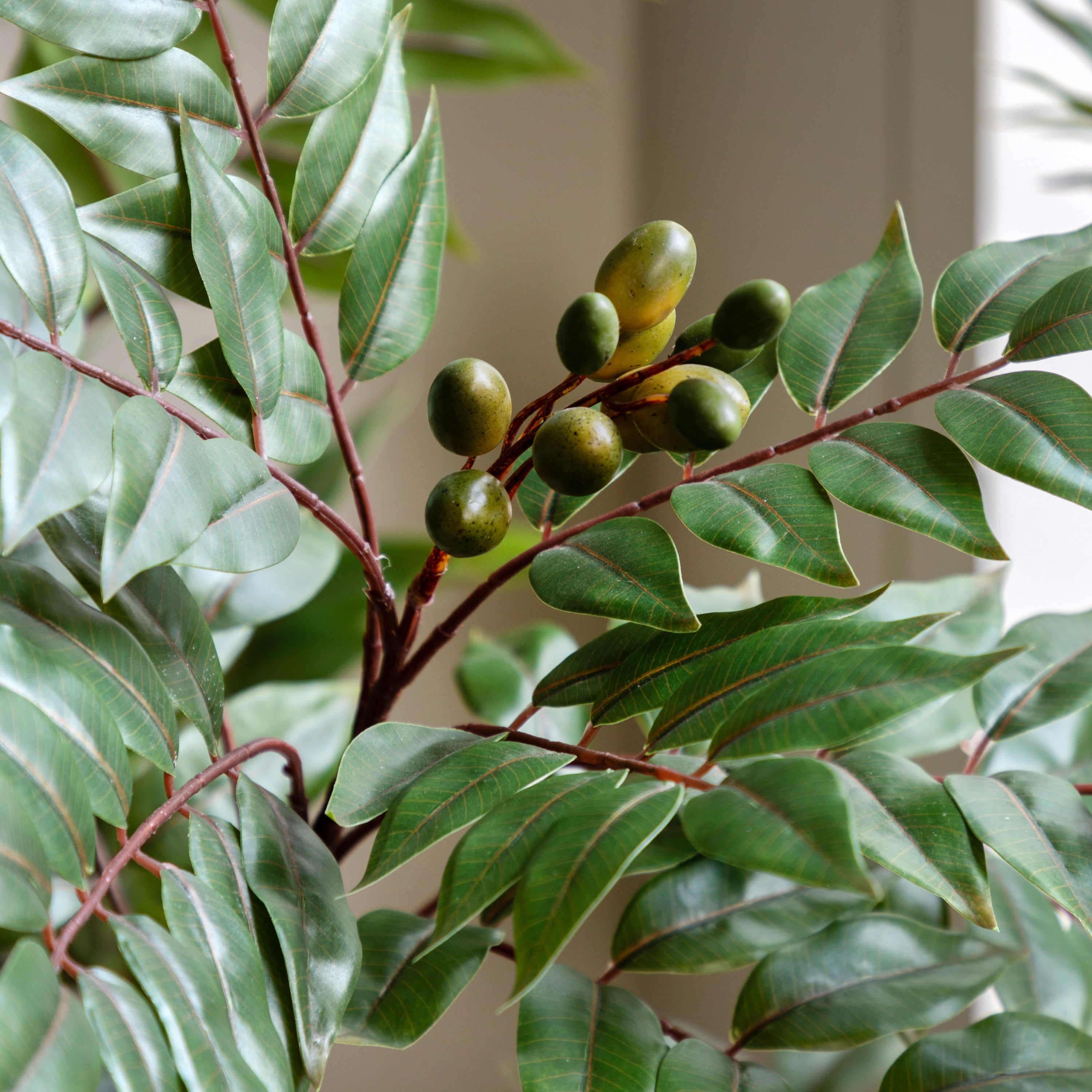 Potted Artificial Chinese White Olive Tree 5ft