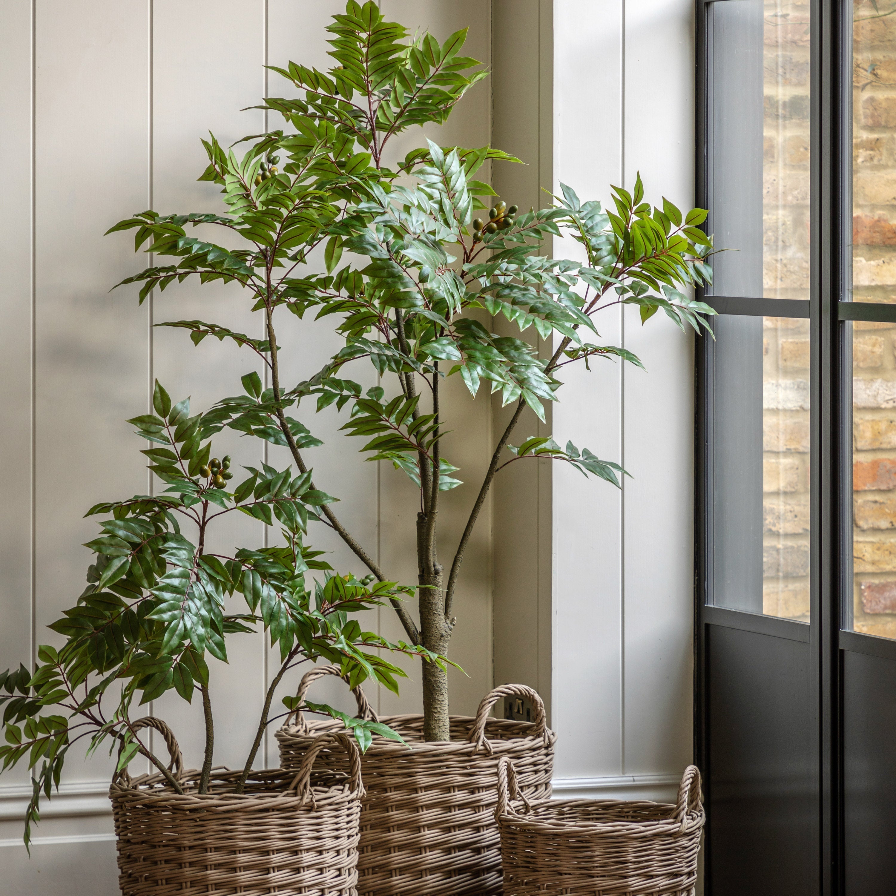 Potted Artificial Chinese White Olive Tree 5ft