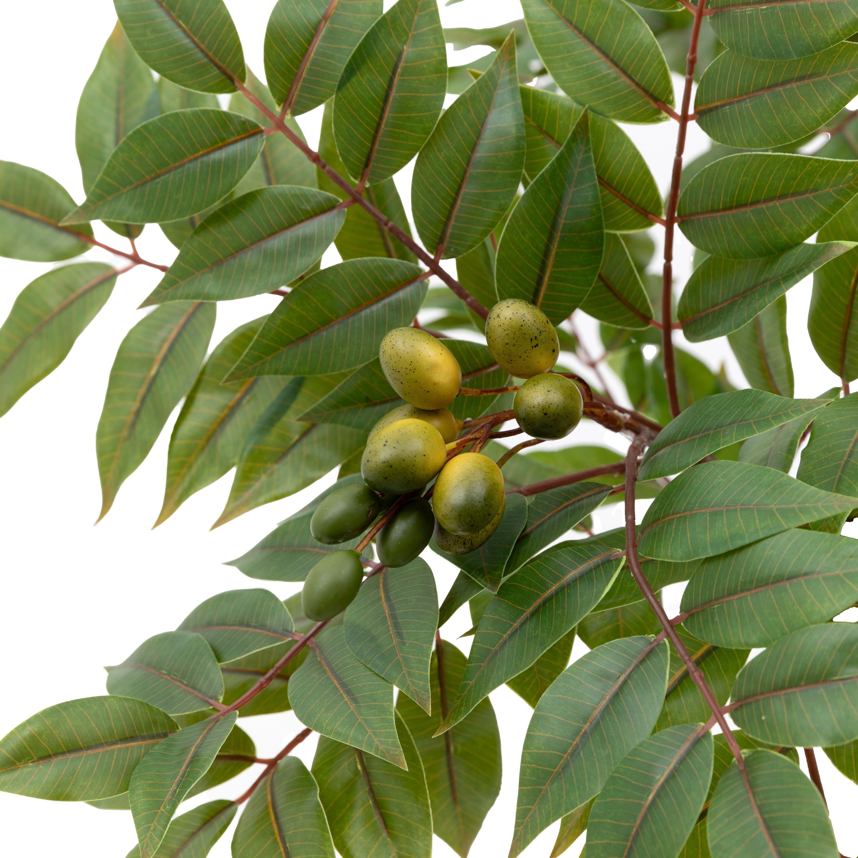 Potted Artificial Chinese White Olive Tree 5ft