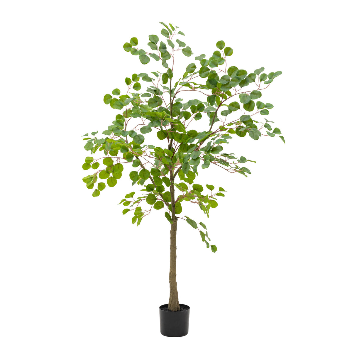 Alderridge Potted Artificial Eucalyptus Tree