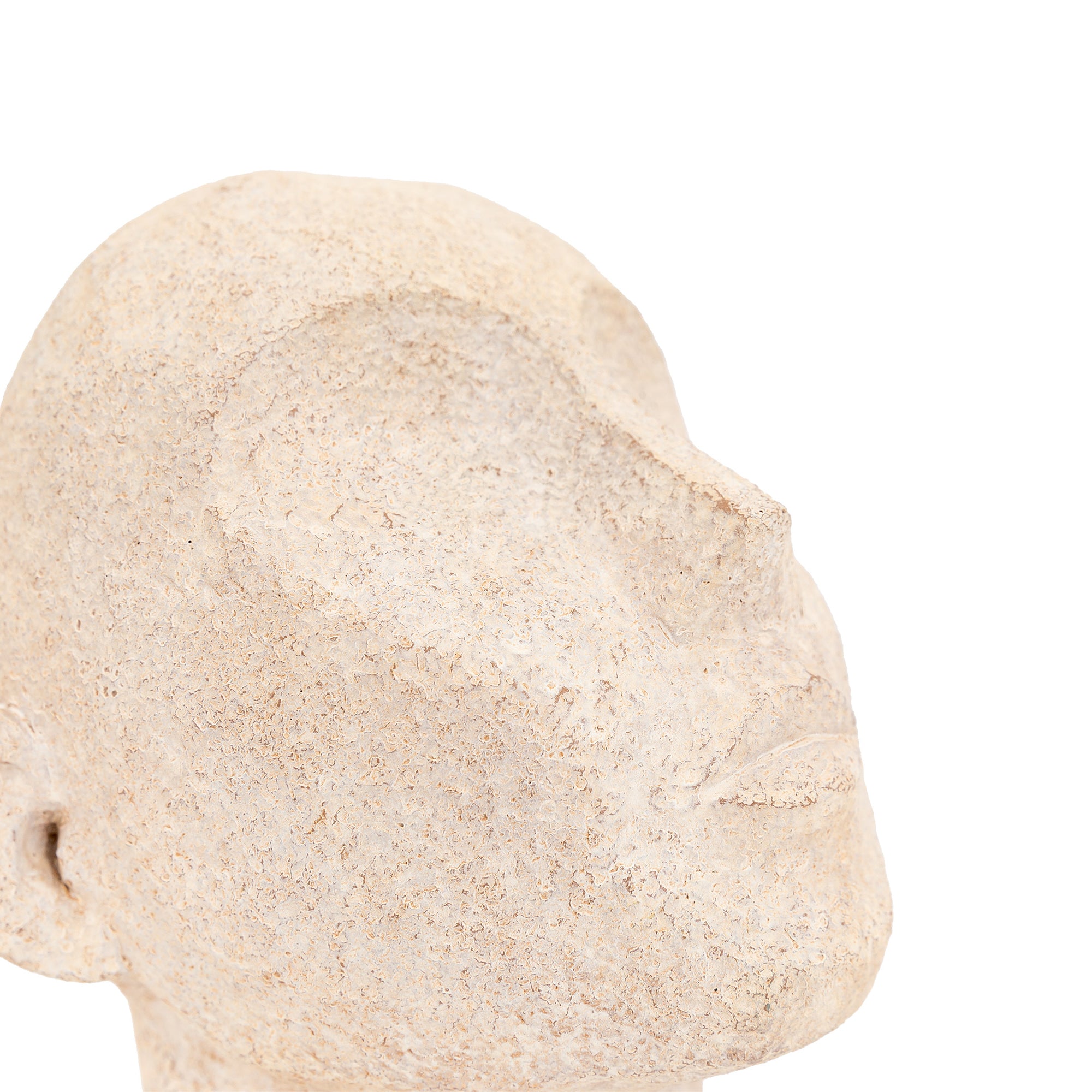 Stony Cream Heads Bookends