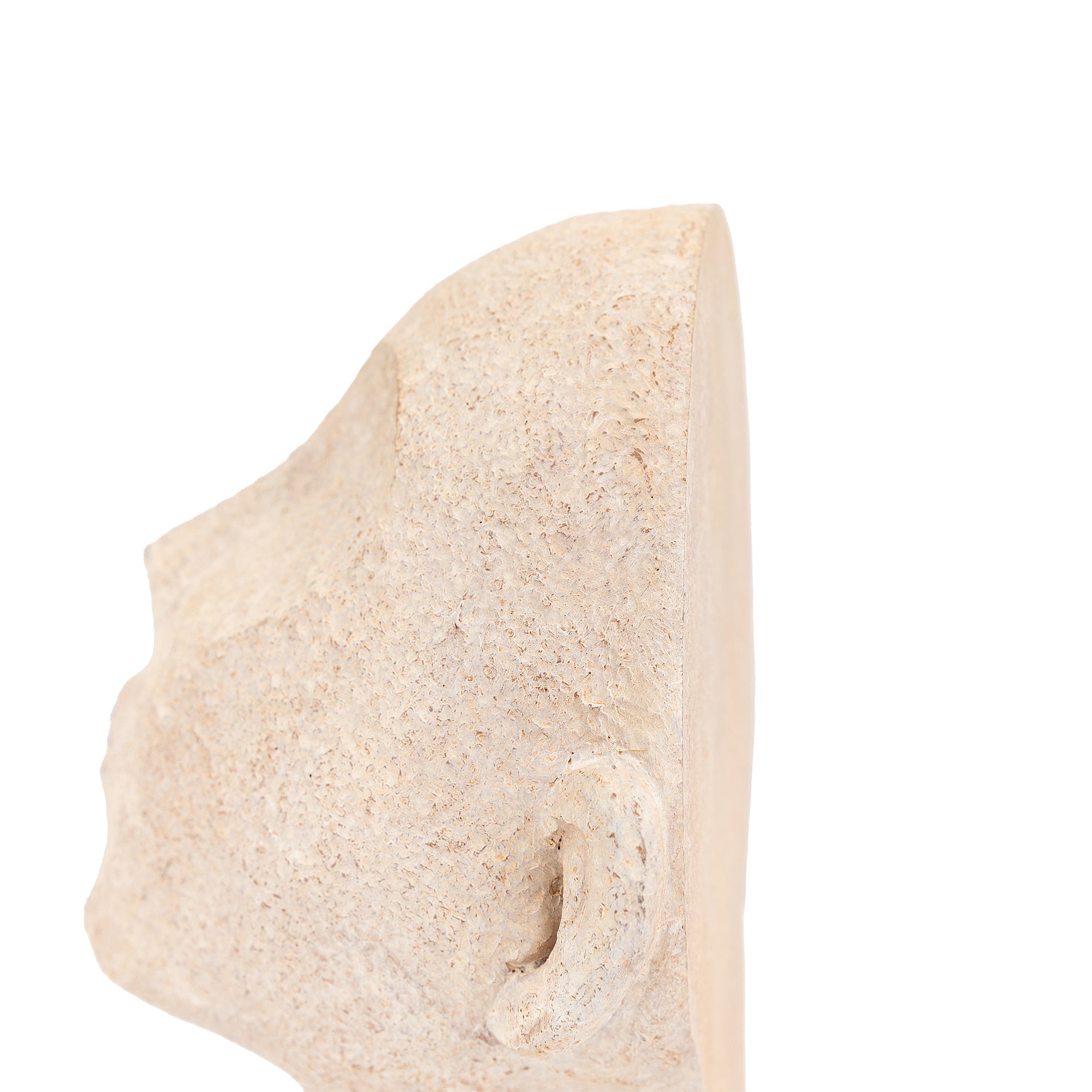 Stony Cream Heads Bookends