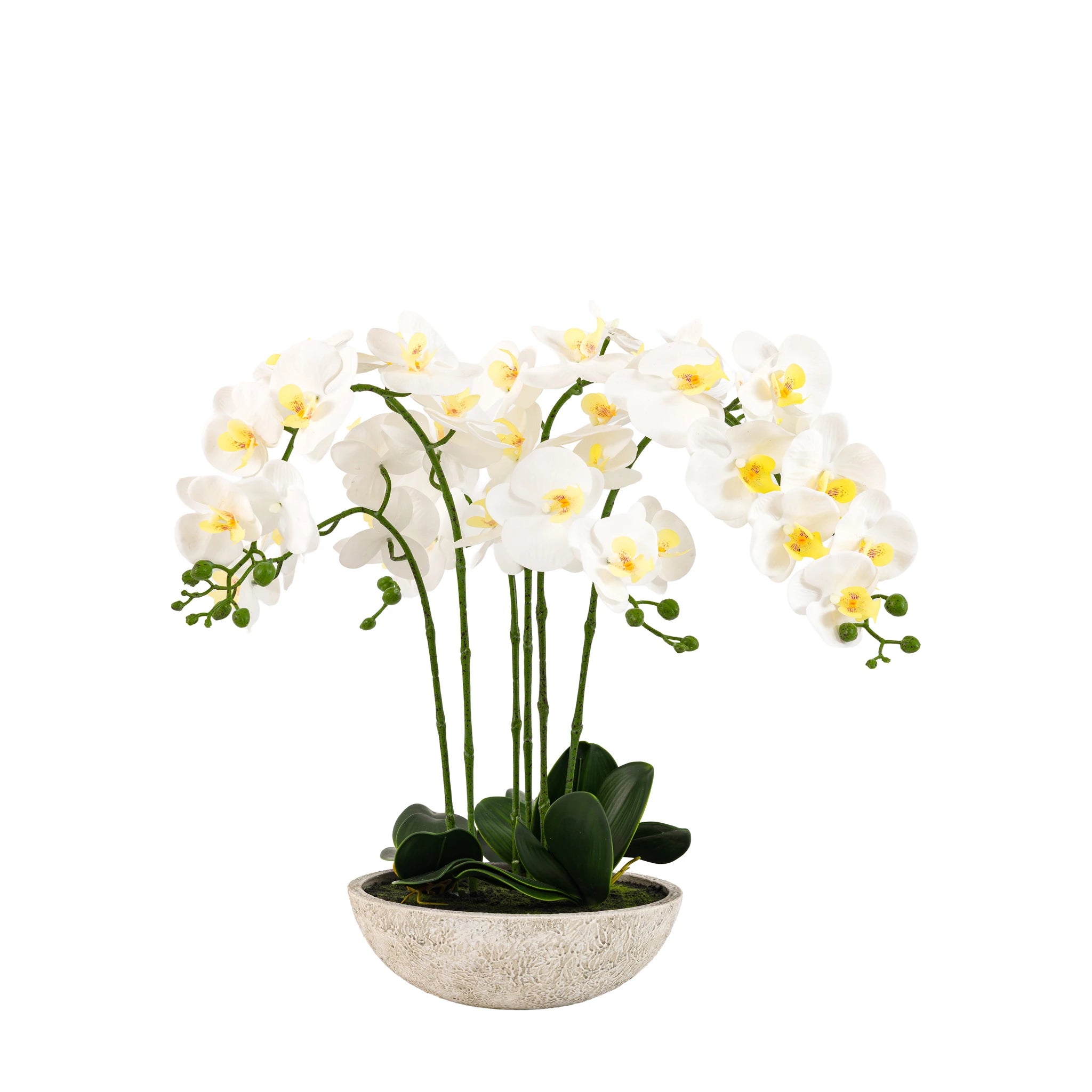 Ambergreen Oversized White Cement Pot Faux Orchid