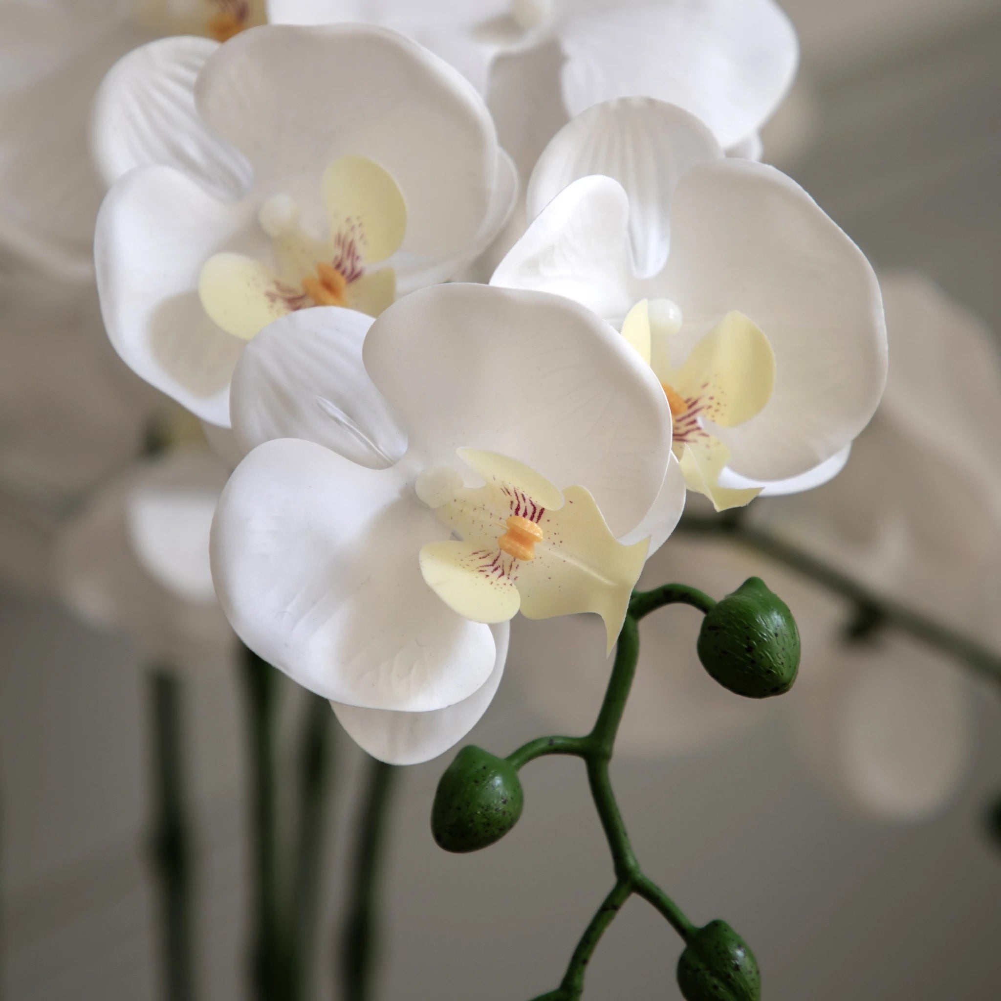 Ambergreen Oversized White Cement Pot Faux Orchid