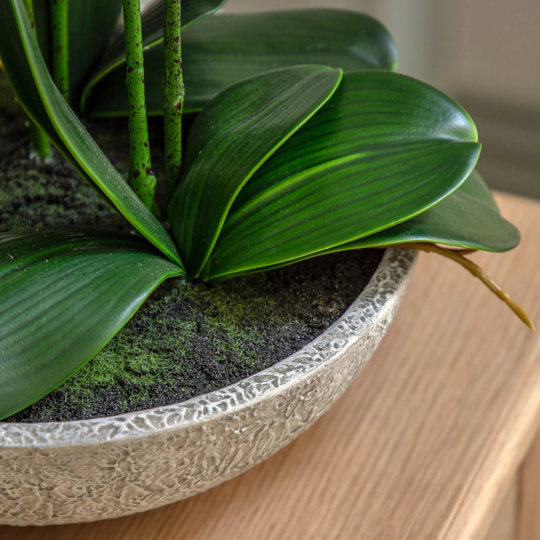 Ambergreen Oversized White Cement Pot Faux Orchid