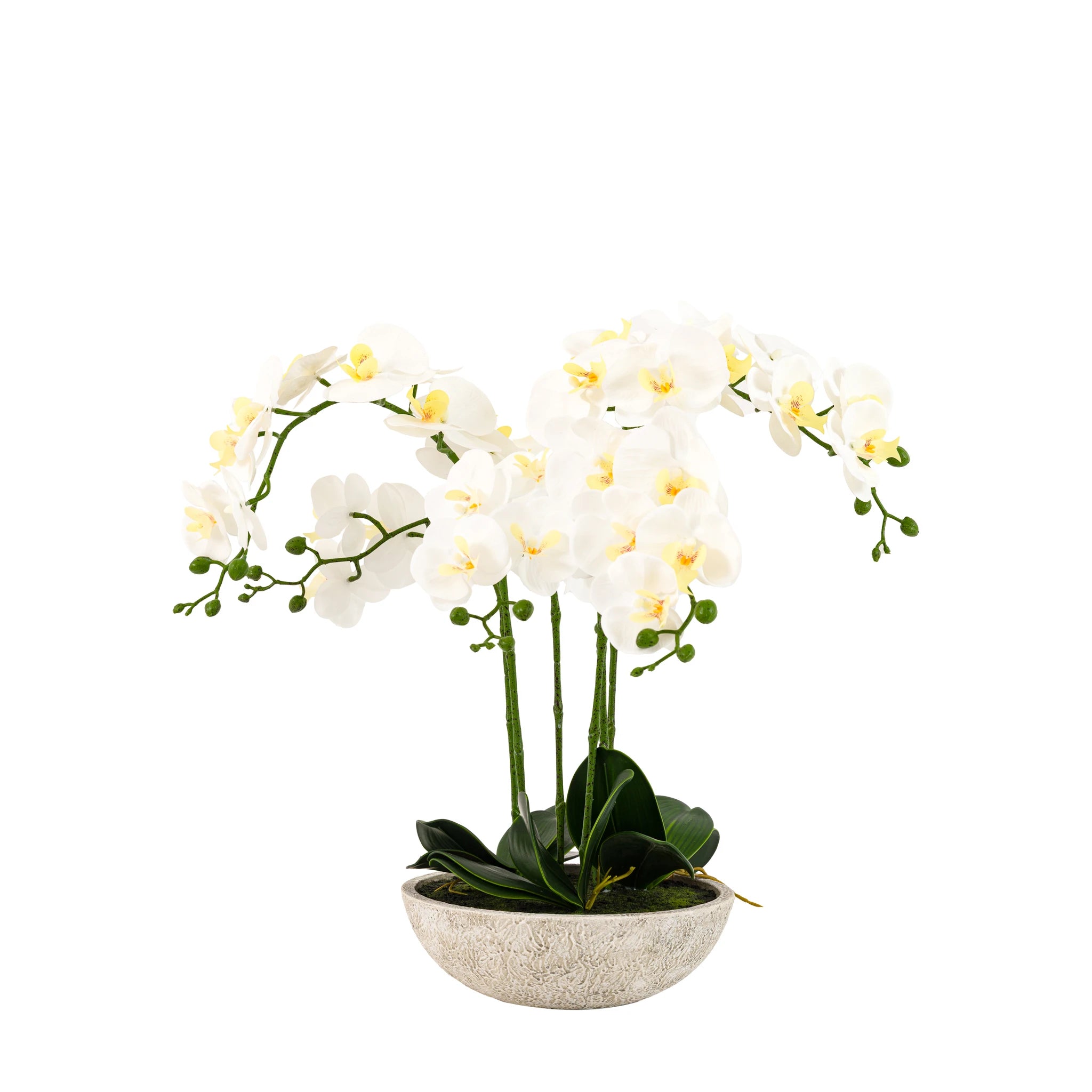 Ambergreen Oversized White Cement Pot Faux Orchid