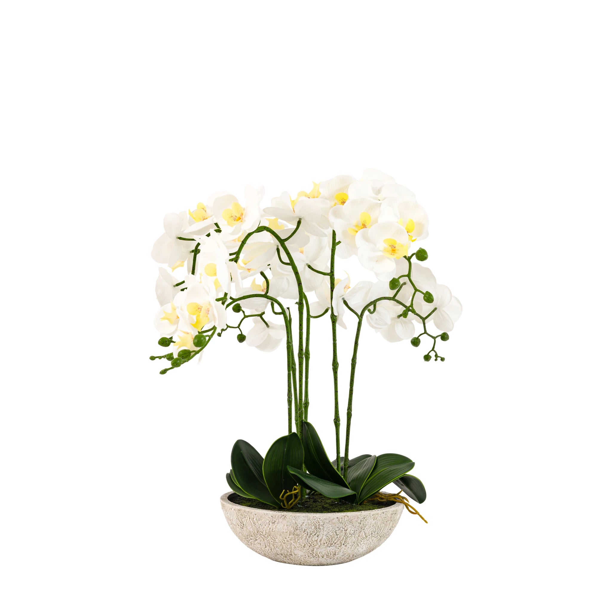 Ambergreen Oversized White Cement Pot Faux Orchid