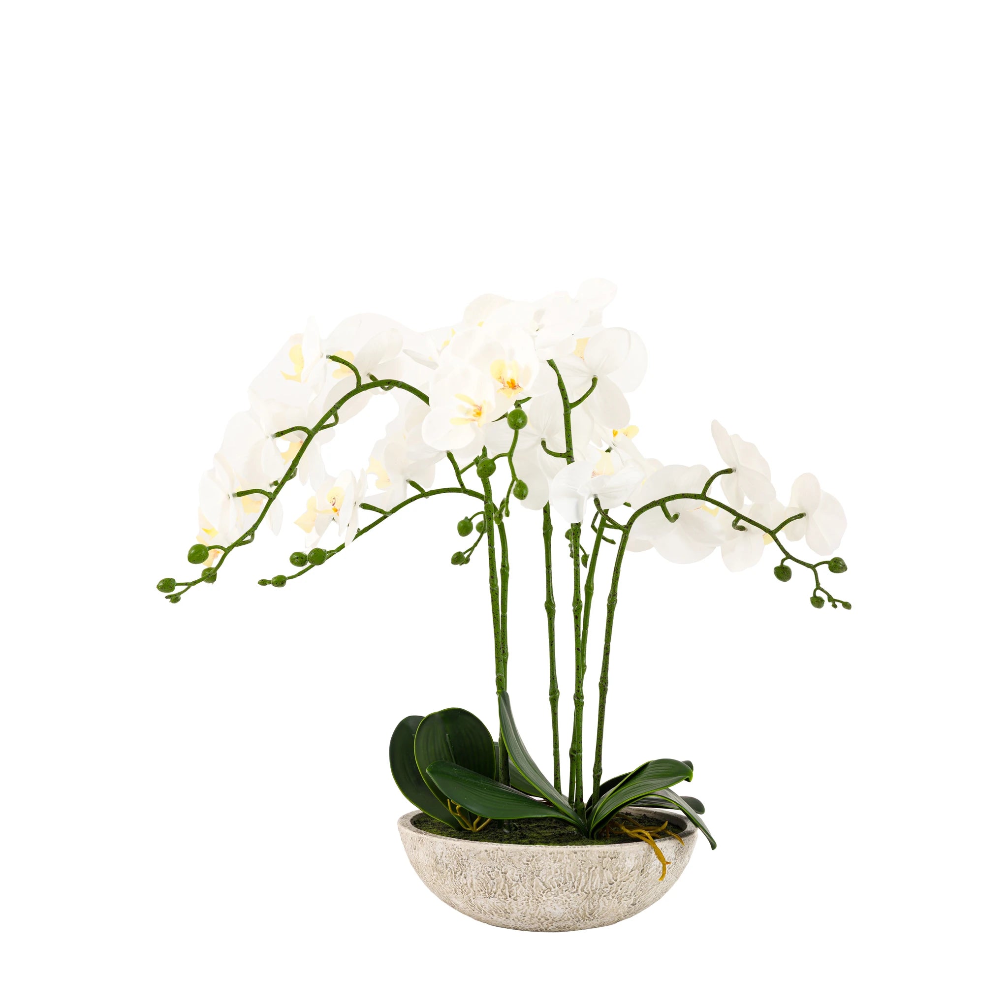 Ambergreen Oversized White Cement Pot Faux Orchid