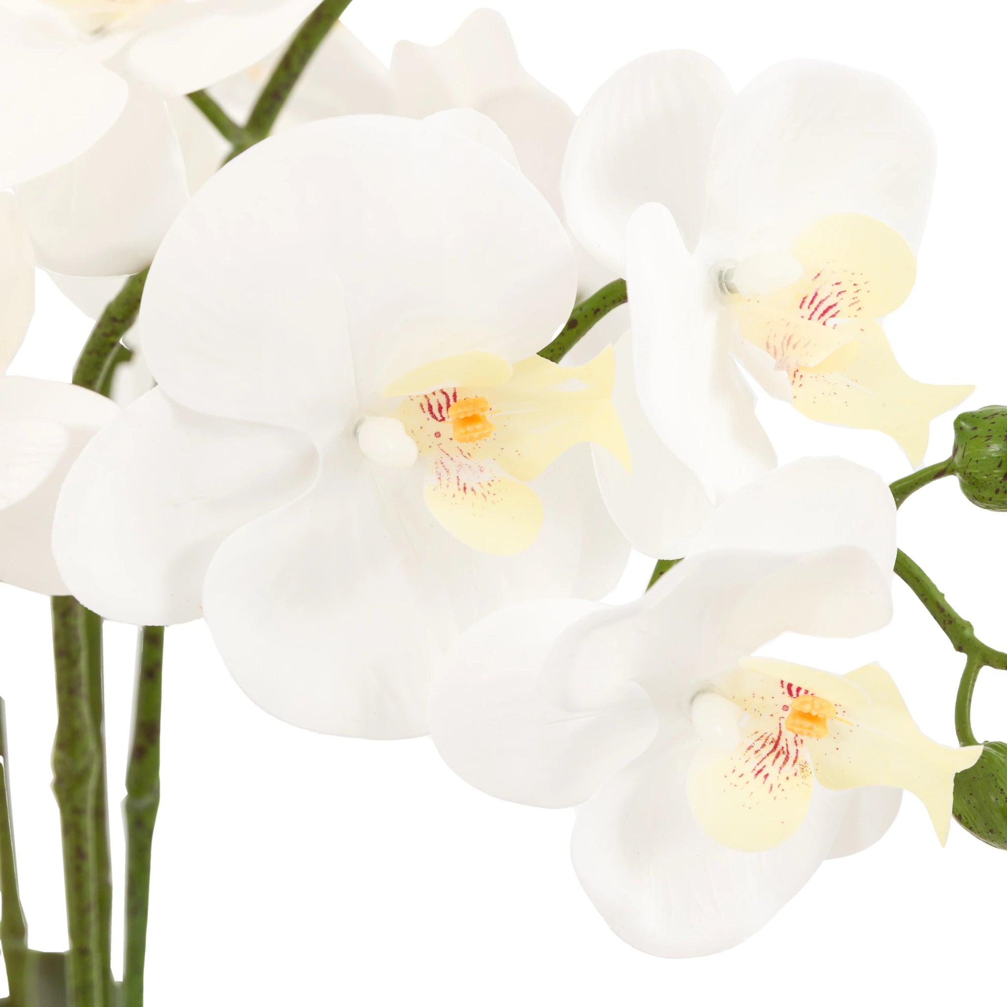 Ambergreen Oversized White Cement Pot Faux Orchid