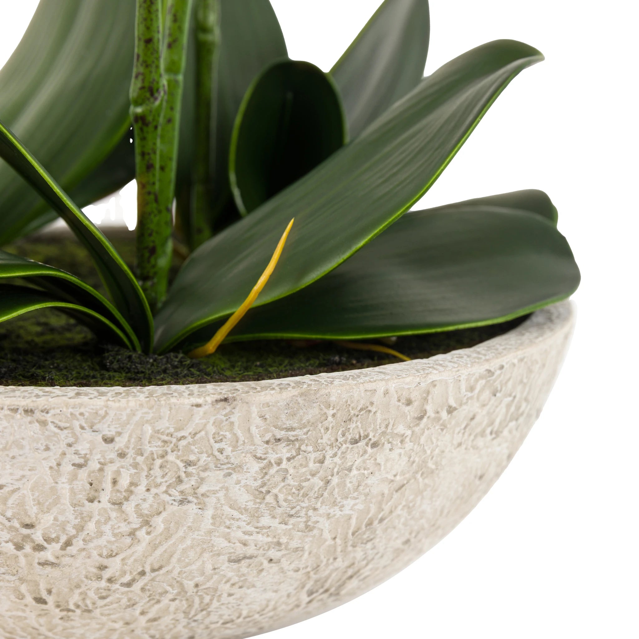 Ambergreen Oversized White Cement Pot Faux Orchid