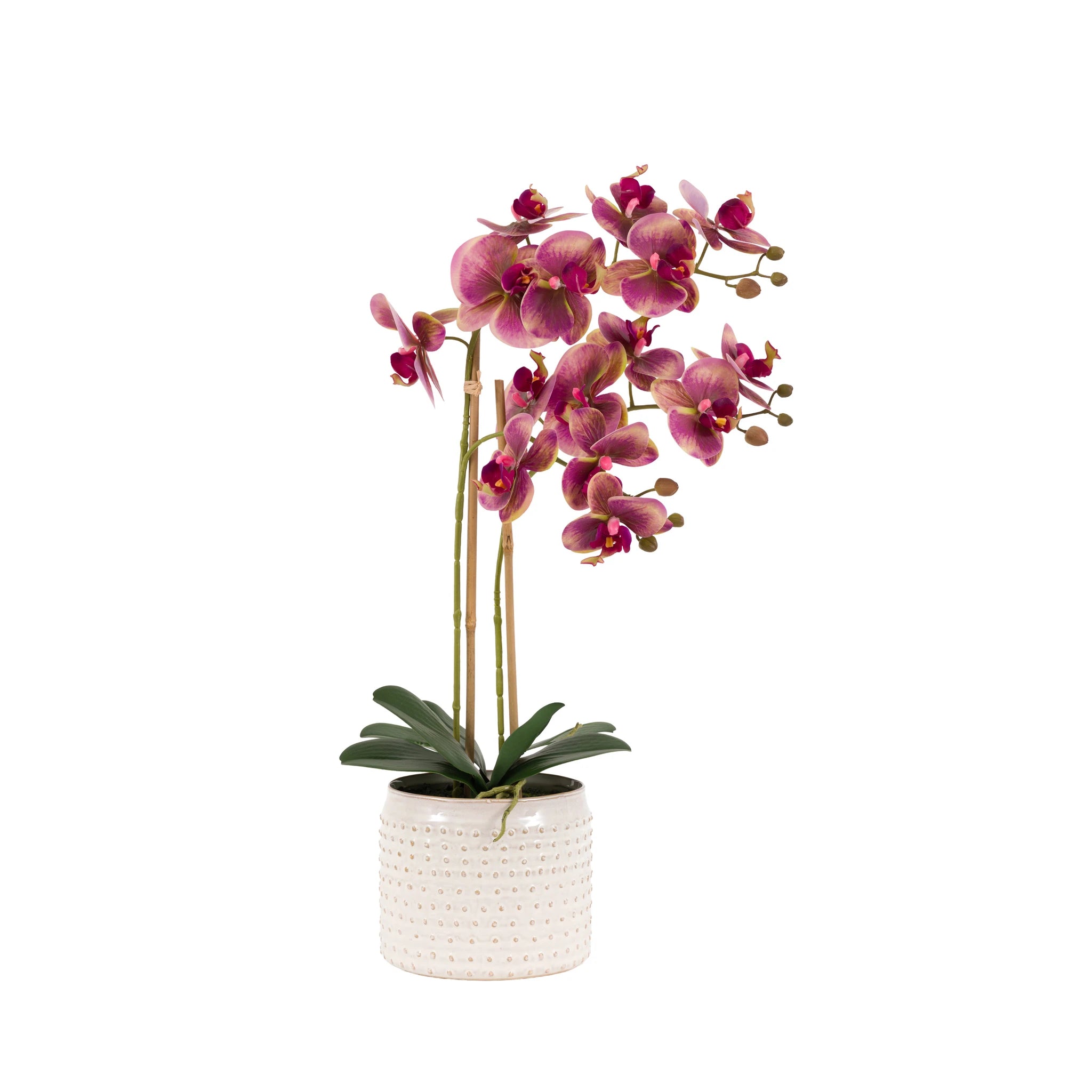 Florielle Pink Moss & Ceramic Dot Pot Faux Orchid