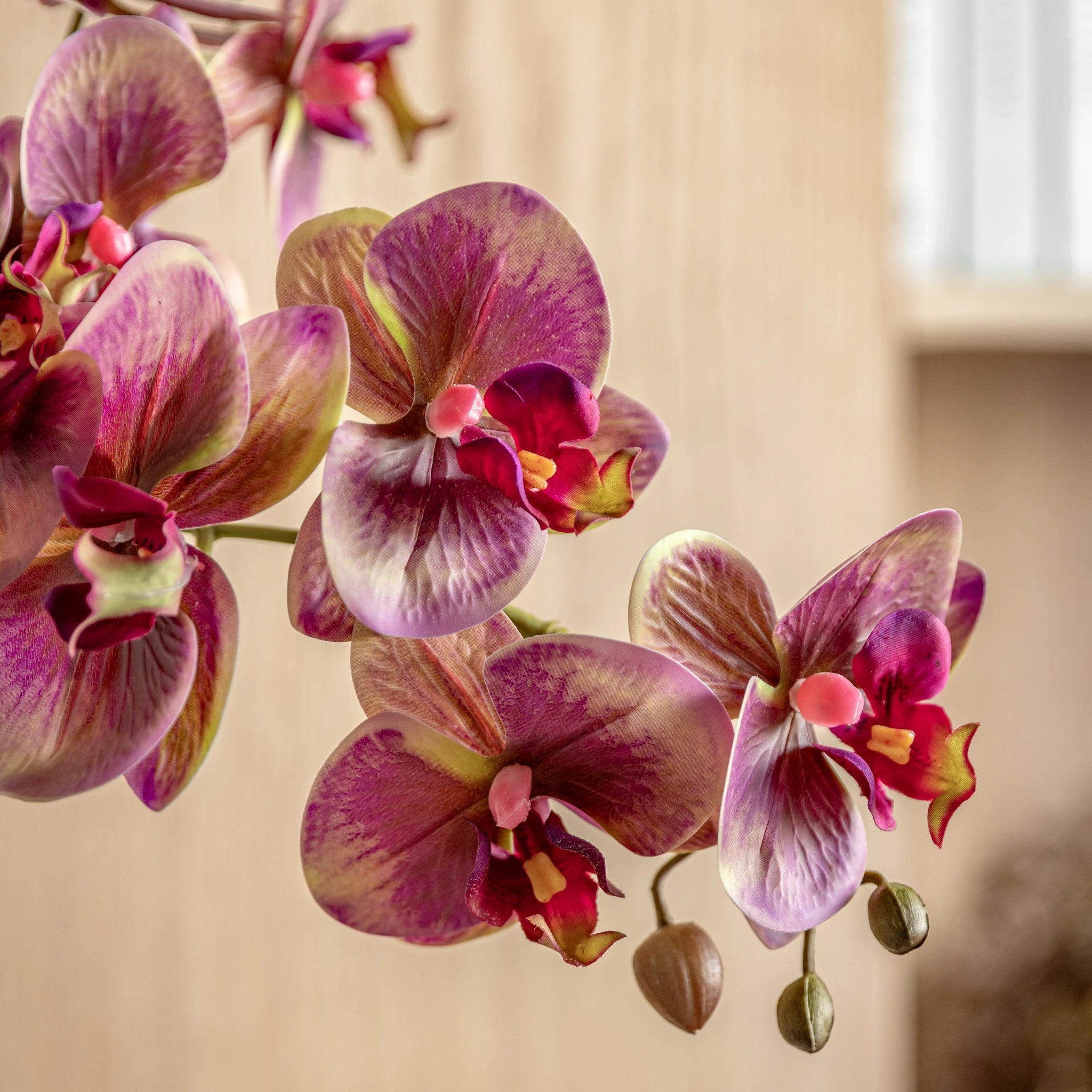 Florielle Pink Moss & Ceramic Dot Pot Faux Orchid
