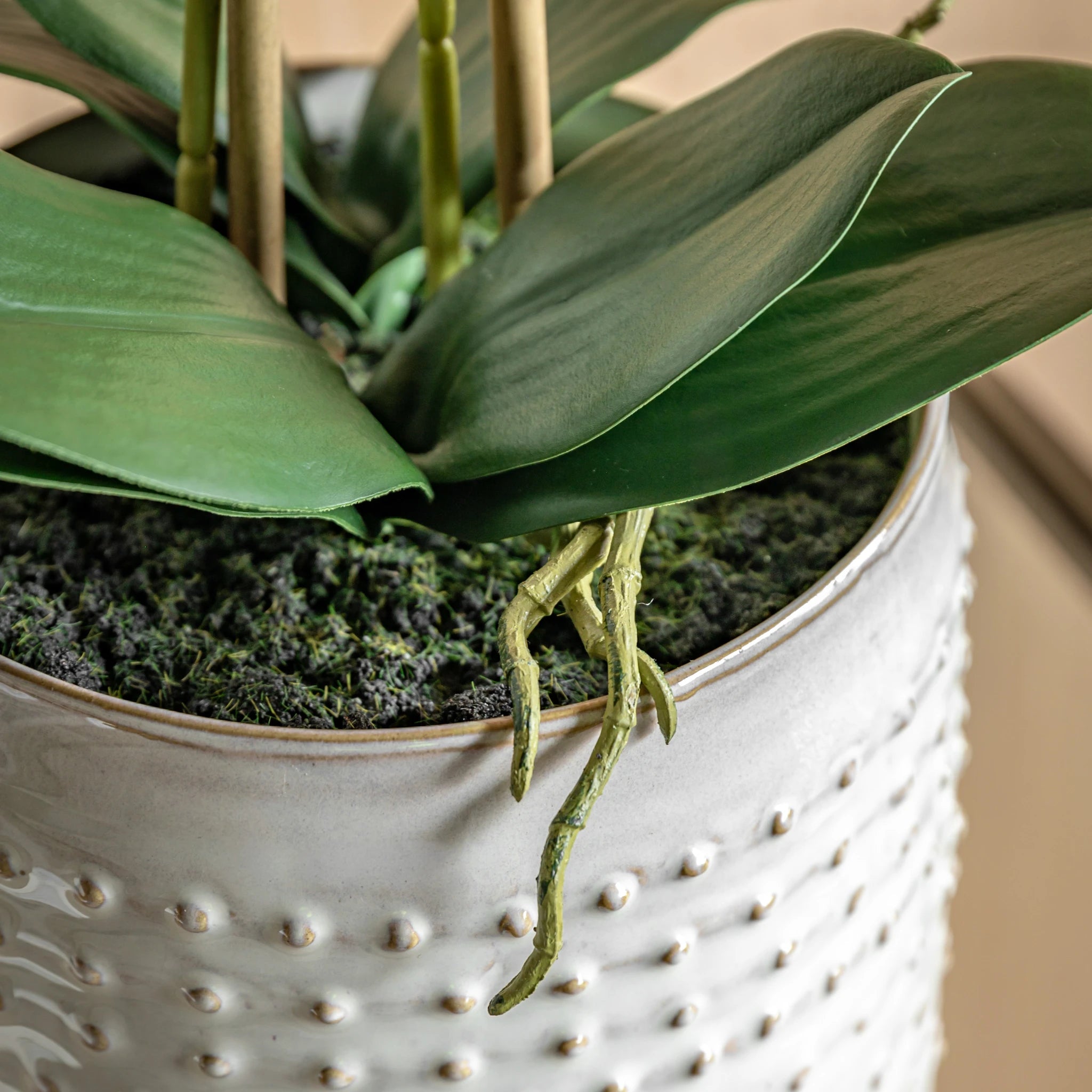 Florielle Pink Moss & Ceramic Dot Pot Faux Orchid