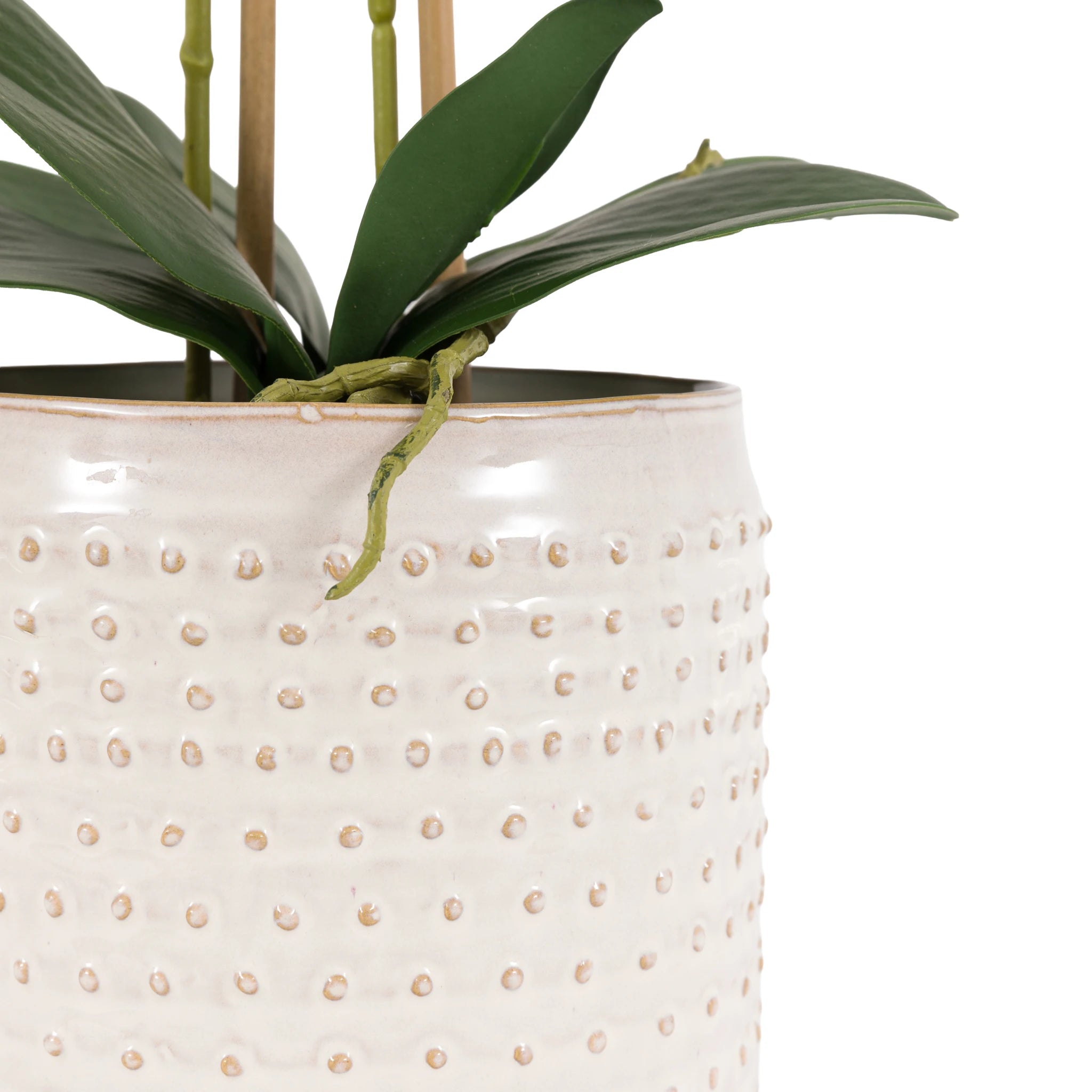 Florielle Pink Moss & Ceramic Dot Pot Faux Orchid