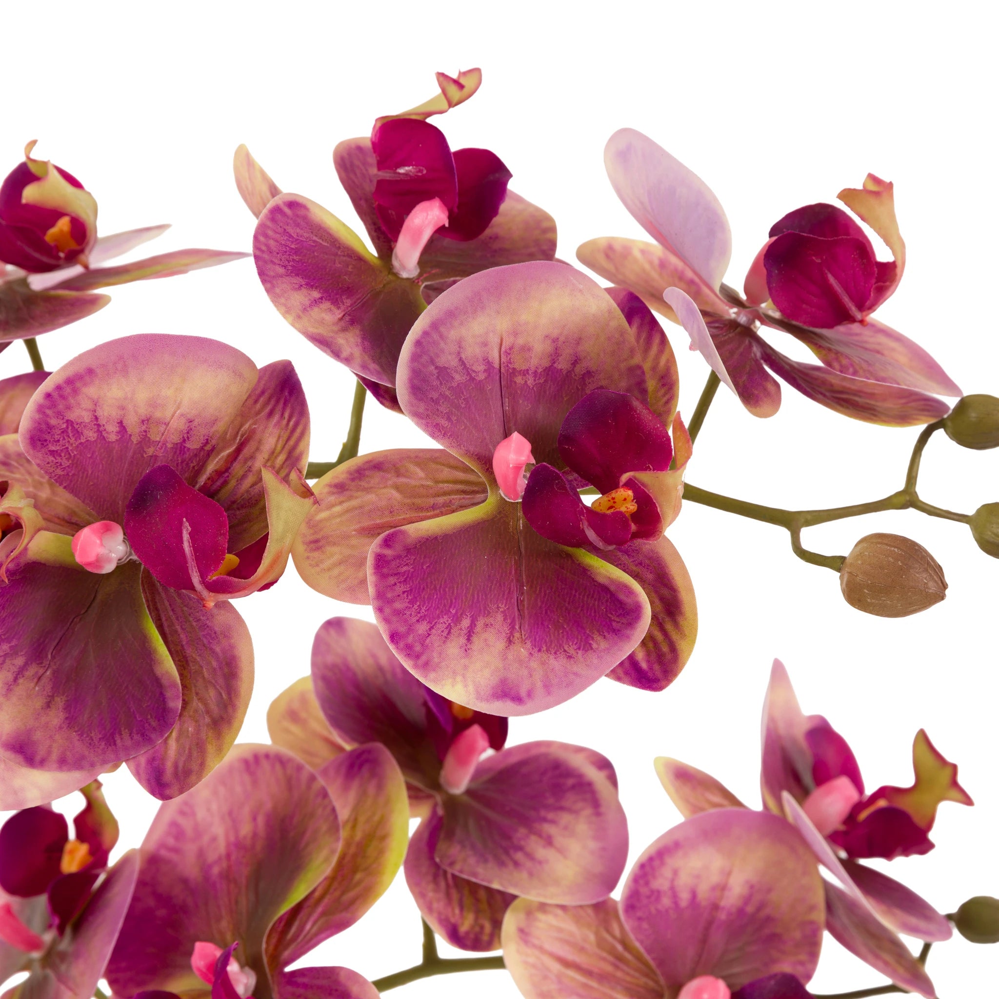 Florielle Pink Moss & Ceramic Dot Pot Faux Orchid