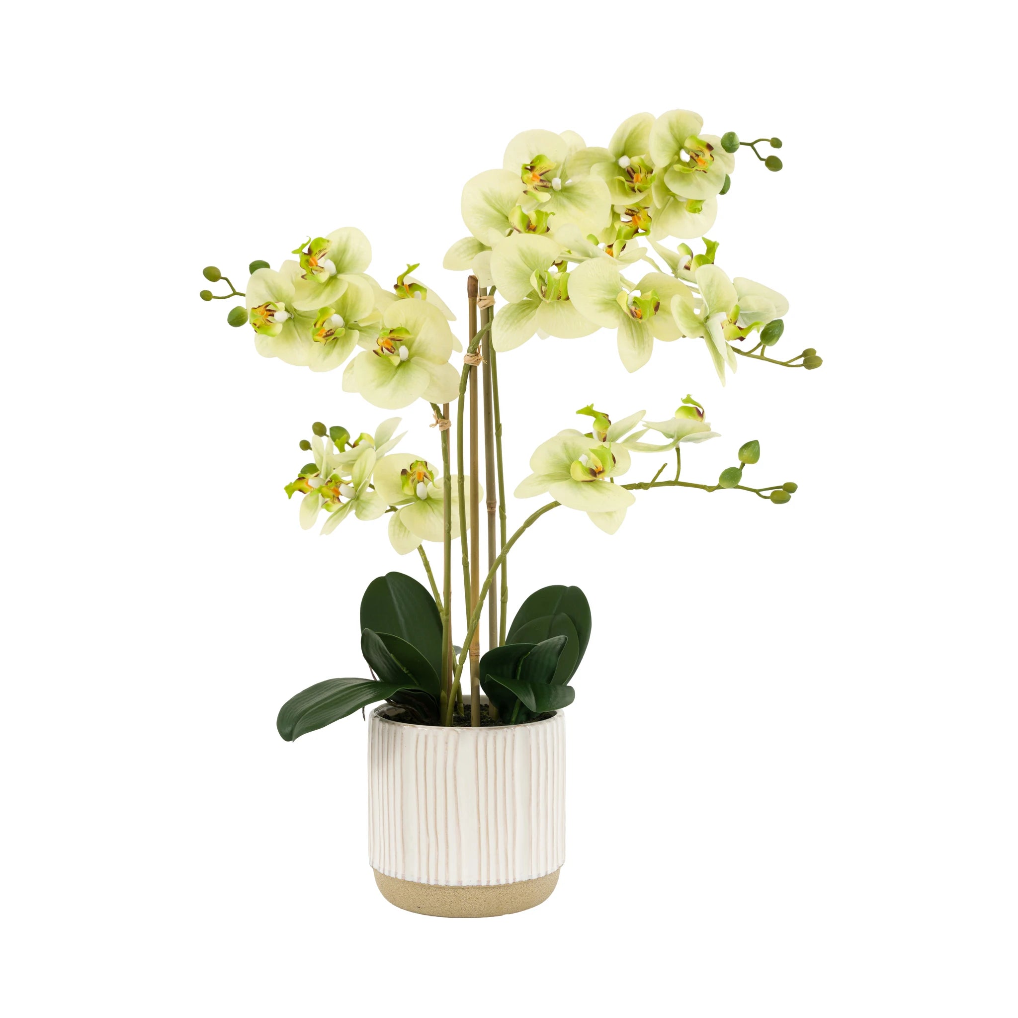 Florielle White Ribbed Ceramic Pot Faux Orchid