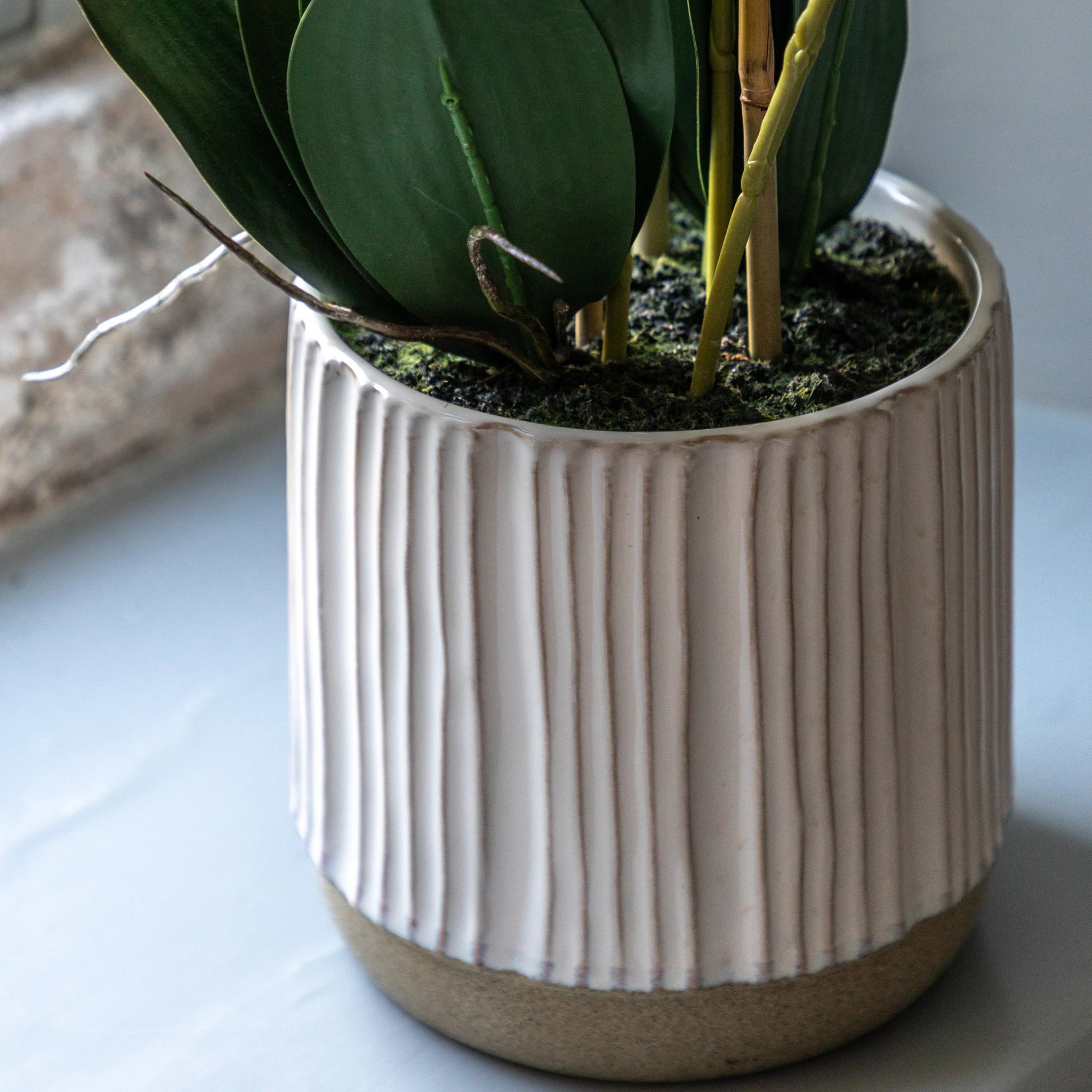 Florielle White Ribbed Ceramic Pot Faux Orchid