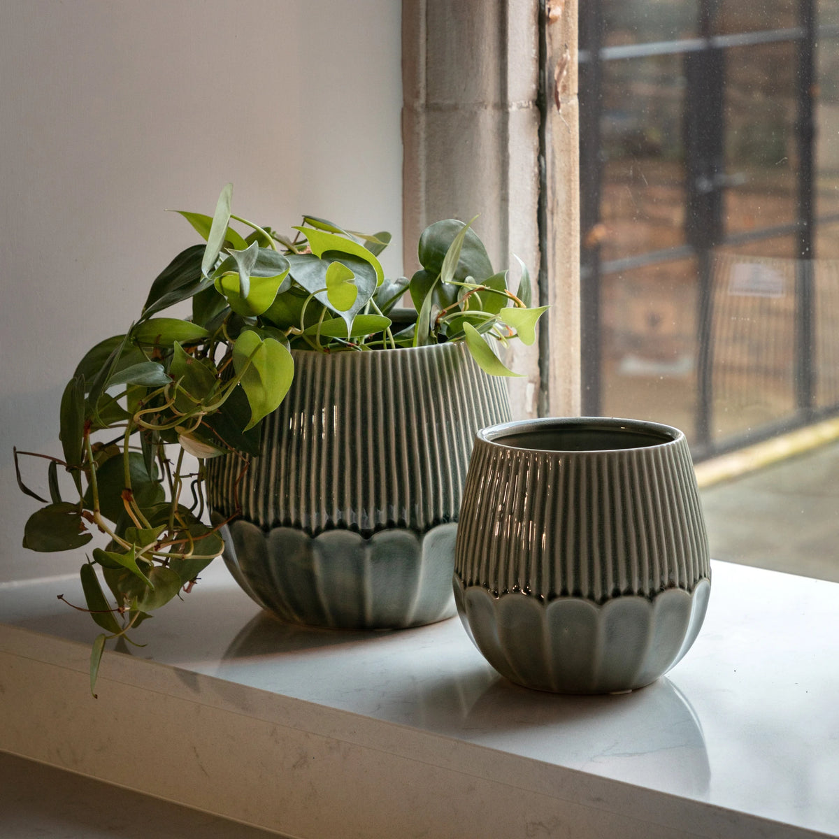 Terranova Ceramic Green Planter