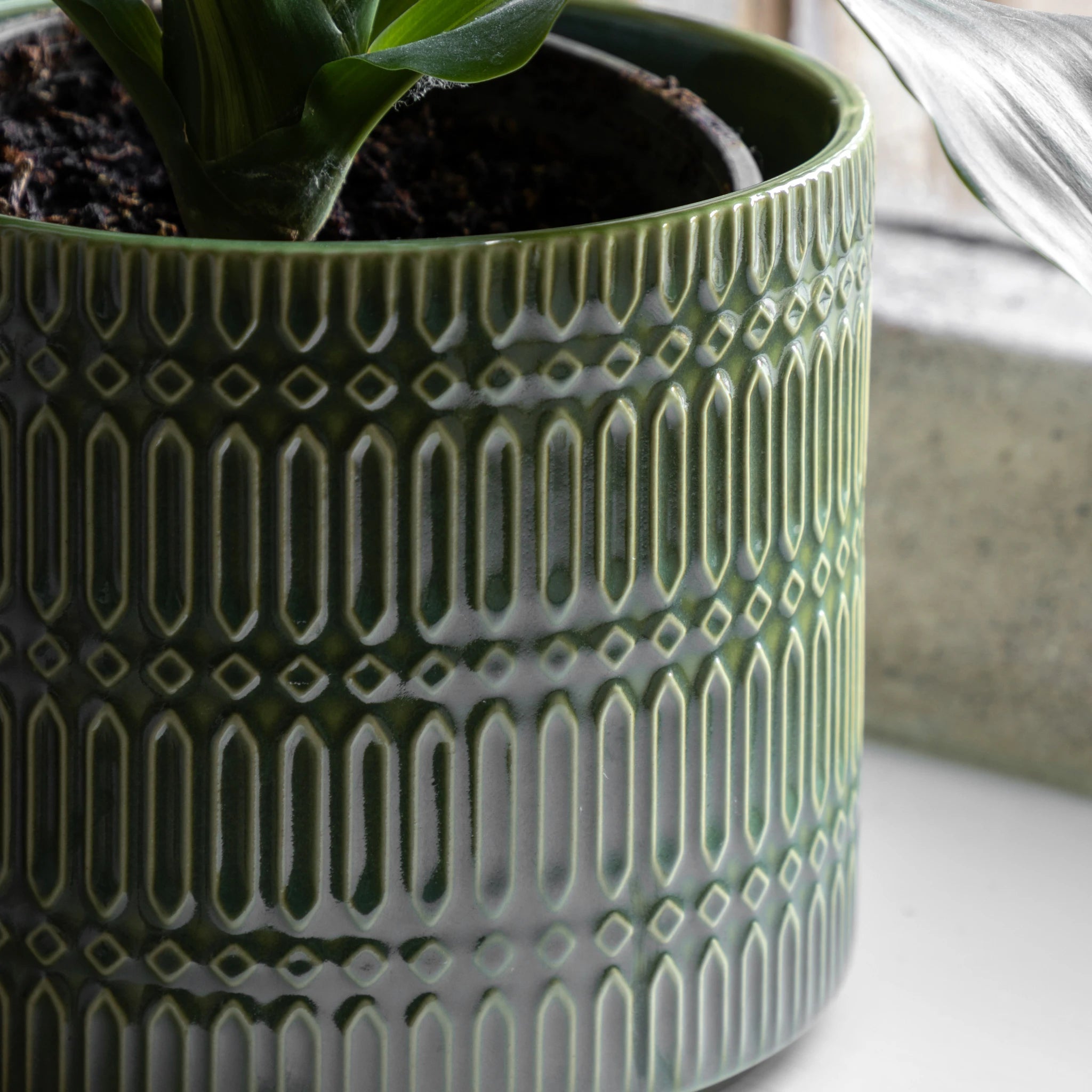 Verdene Embossed Olive Green Ceramic Planter