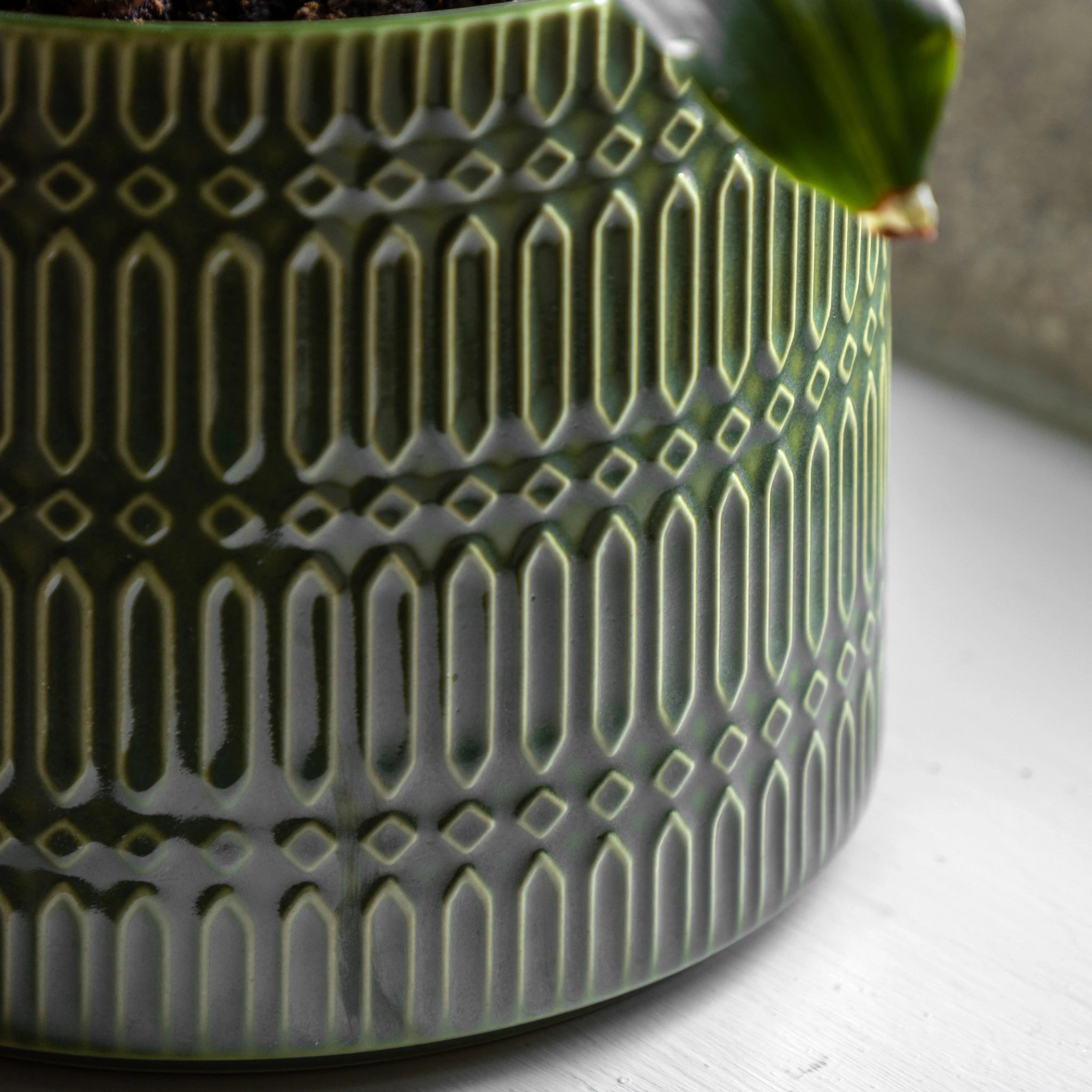 Verdene Embossed Olive Green Ceramic Planter