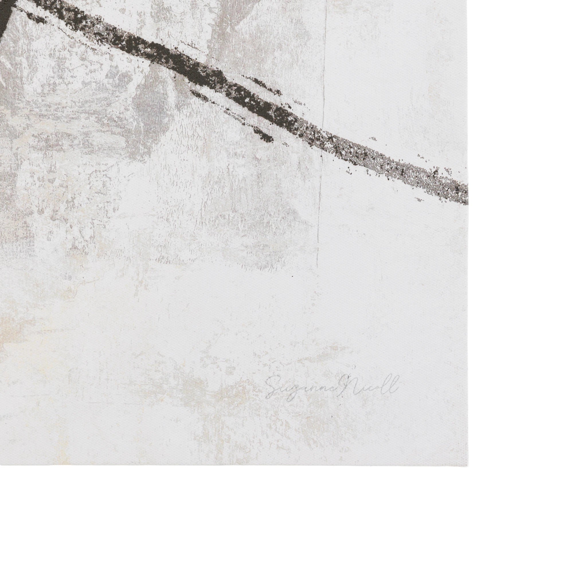 Set of 2 Ashgrove White Canvases Wall Art