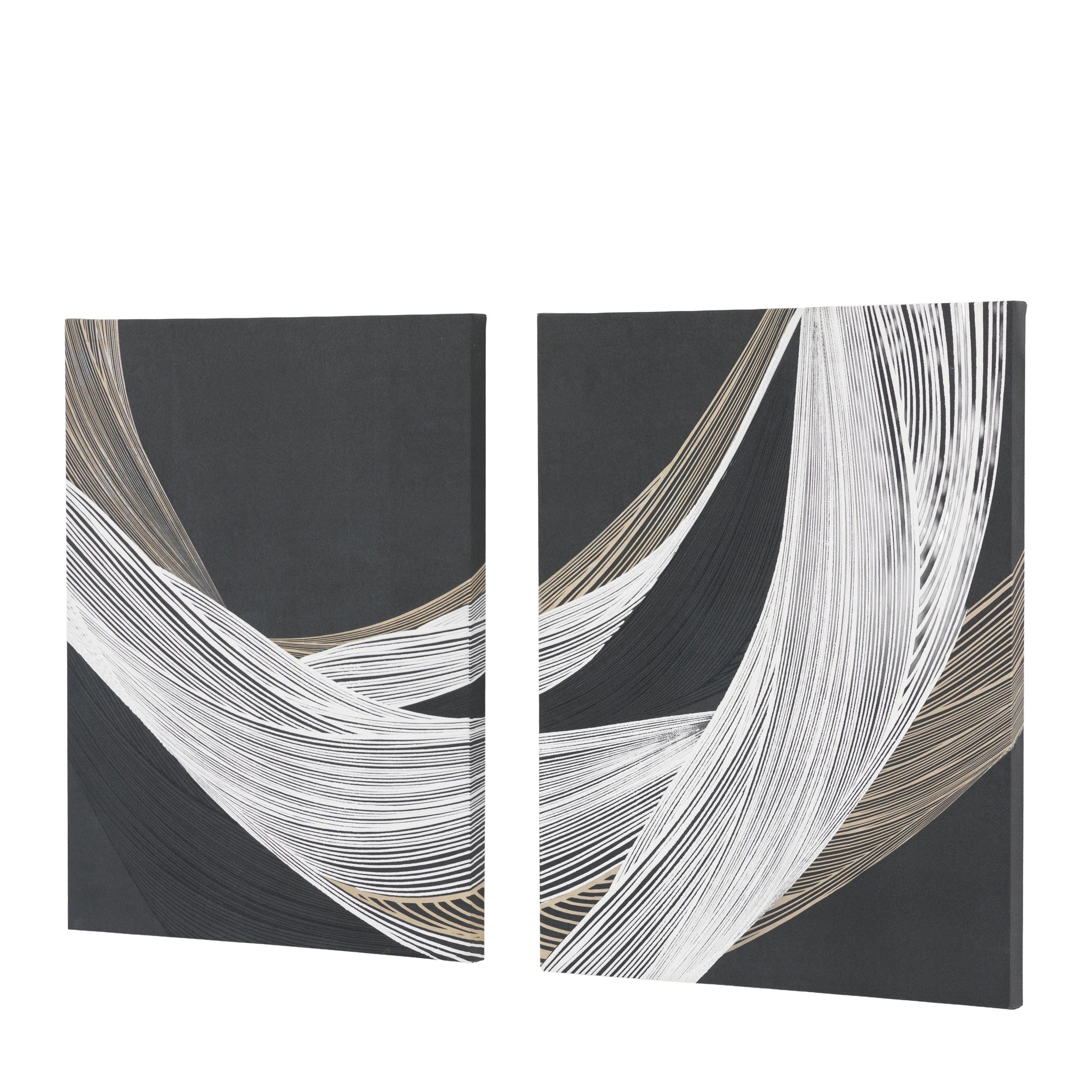 Set of 2 Ambergrove Appeal Black Canvases Wall Art