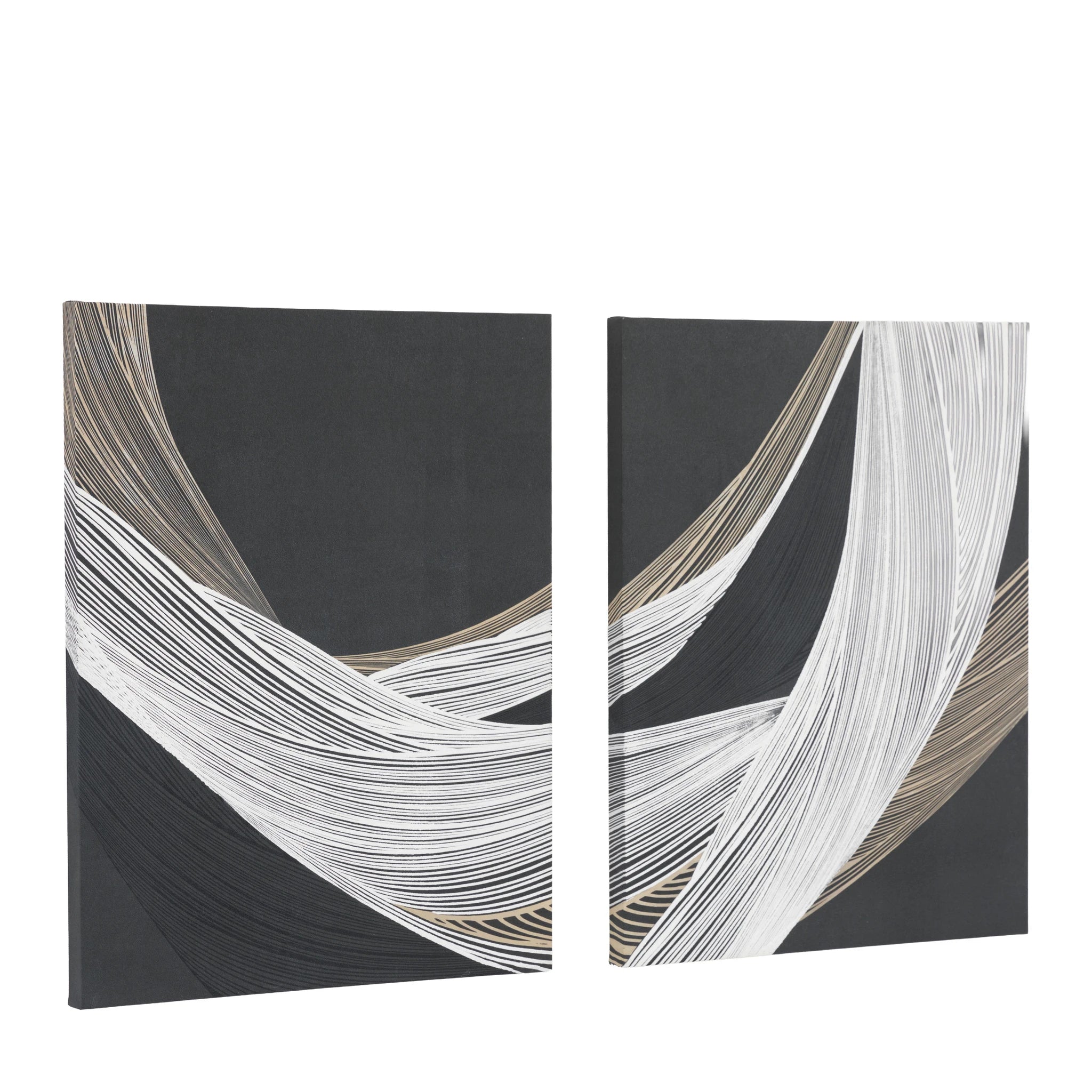 Set of 2 Ambergrove Appeal Black Canvases Wall Art