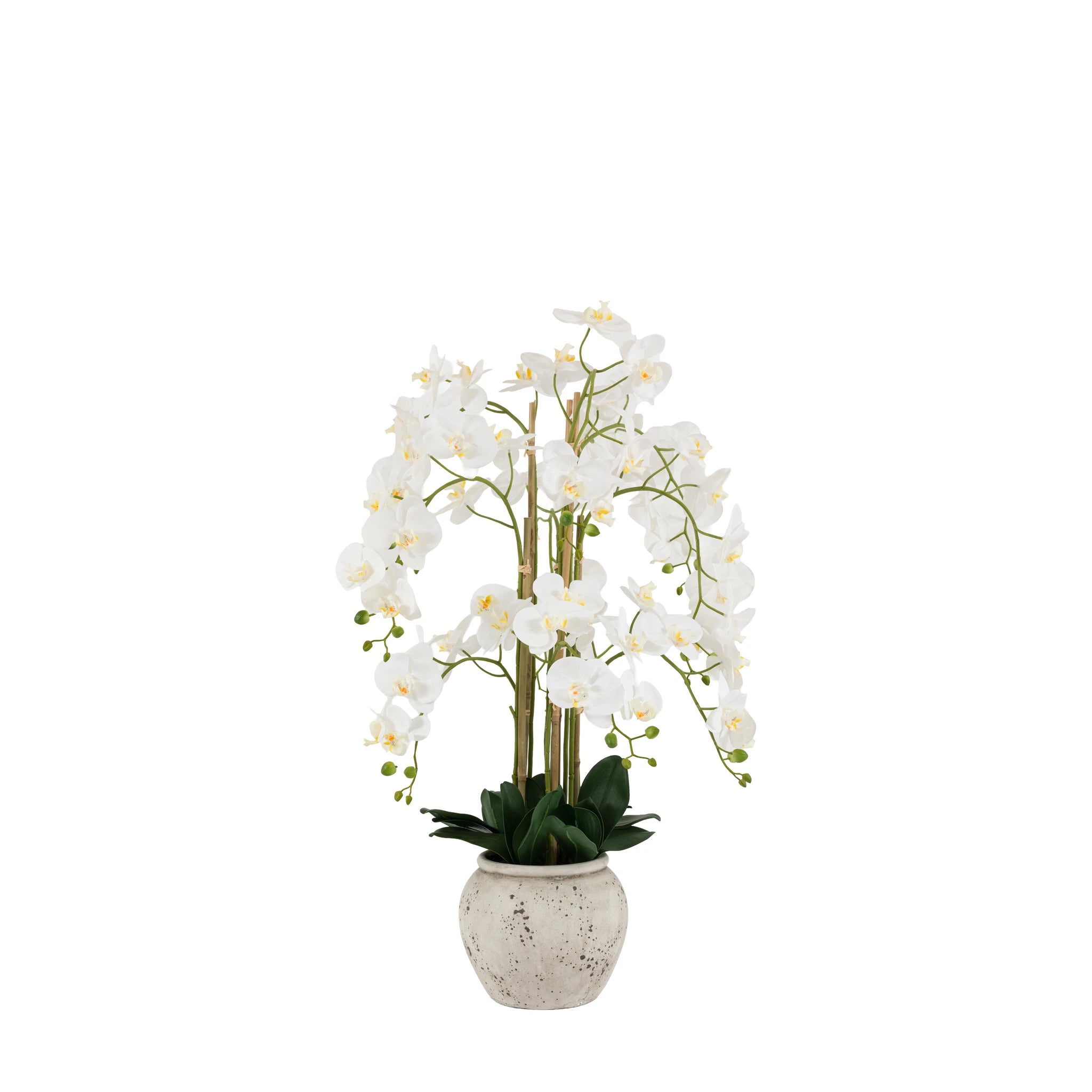 Aegeus Real Touch White Cement Effect Pot Faux Orchid