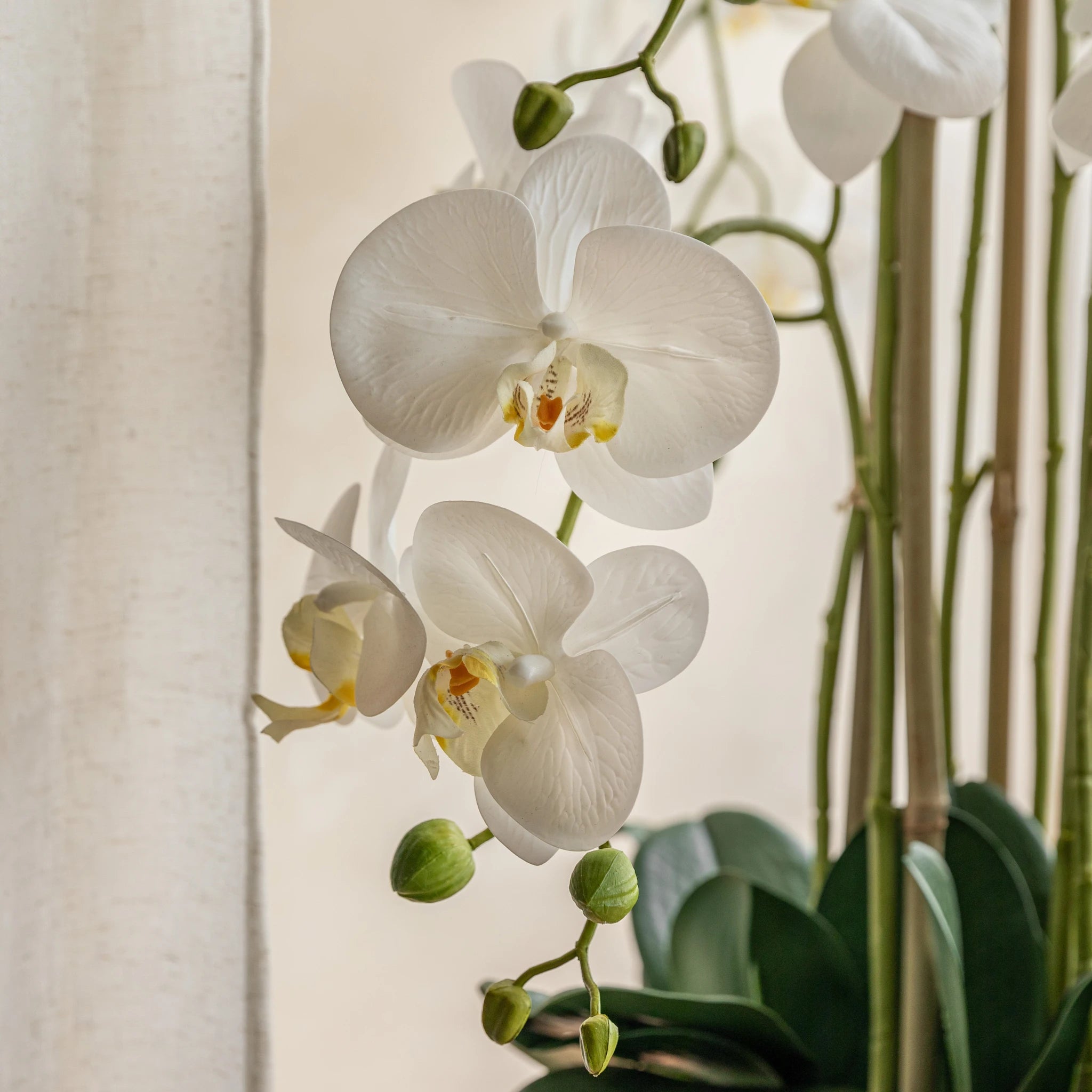 Aegeus Real Touch White Cement Effect Pot Faux Orchid