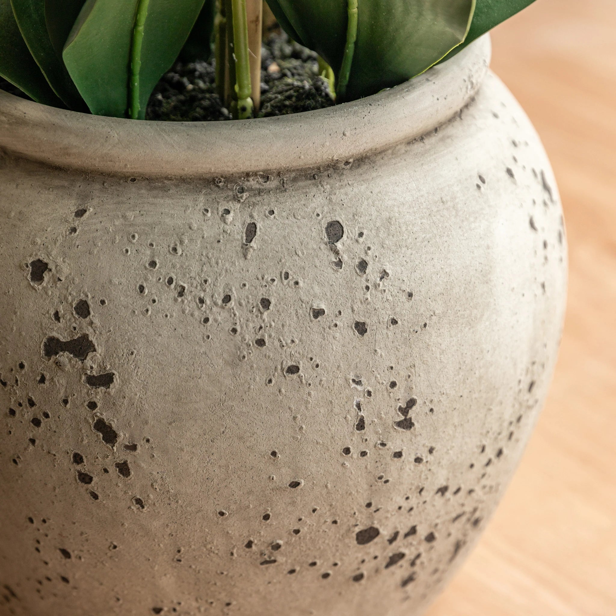 Aegeus Real Touch White Cement Effect Pot Faux Orchid