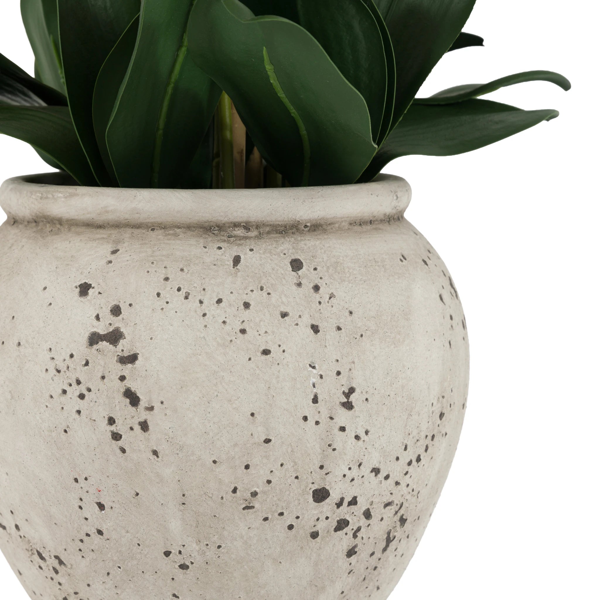 Aegeus Real Touch White Cement Effect Pot Faux Orchid