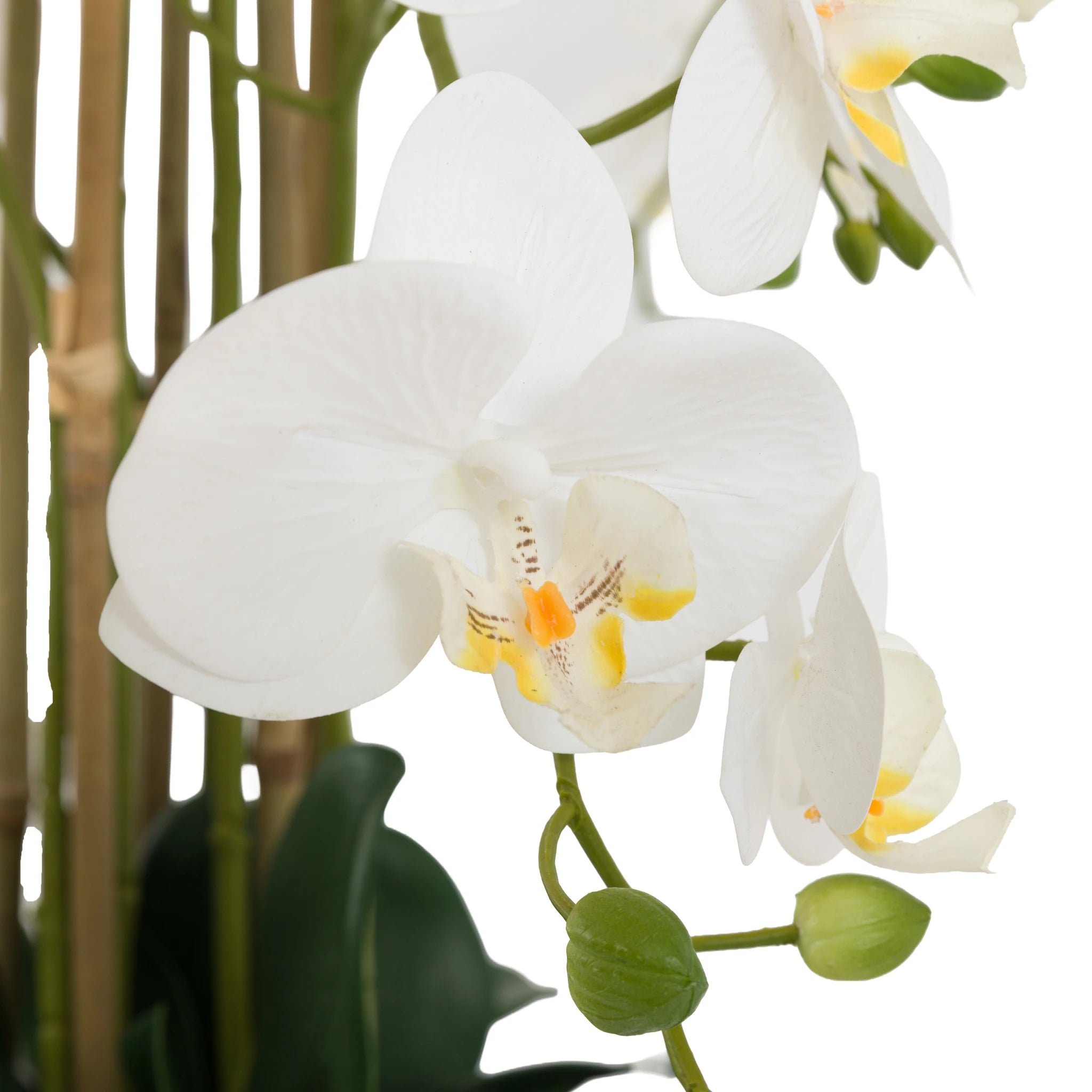 Aegeus Real Touch White Cement Effect Pot Faux Orchid