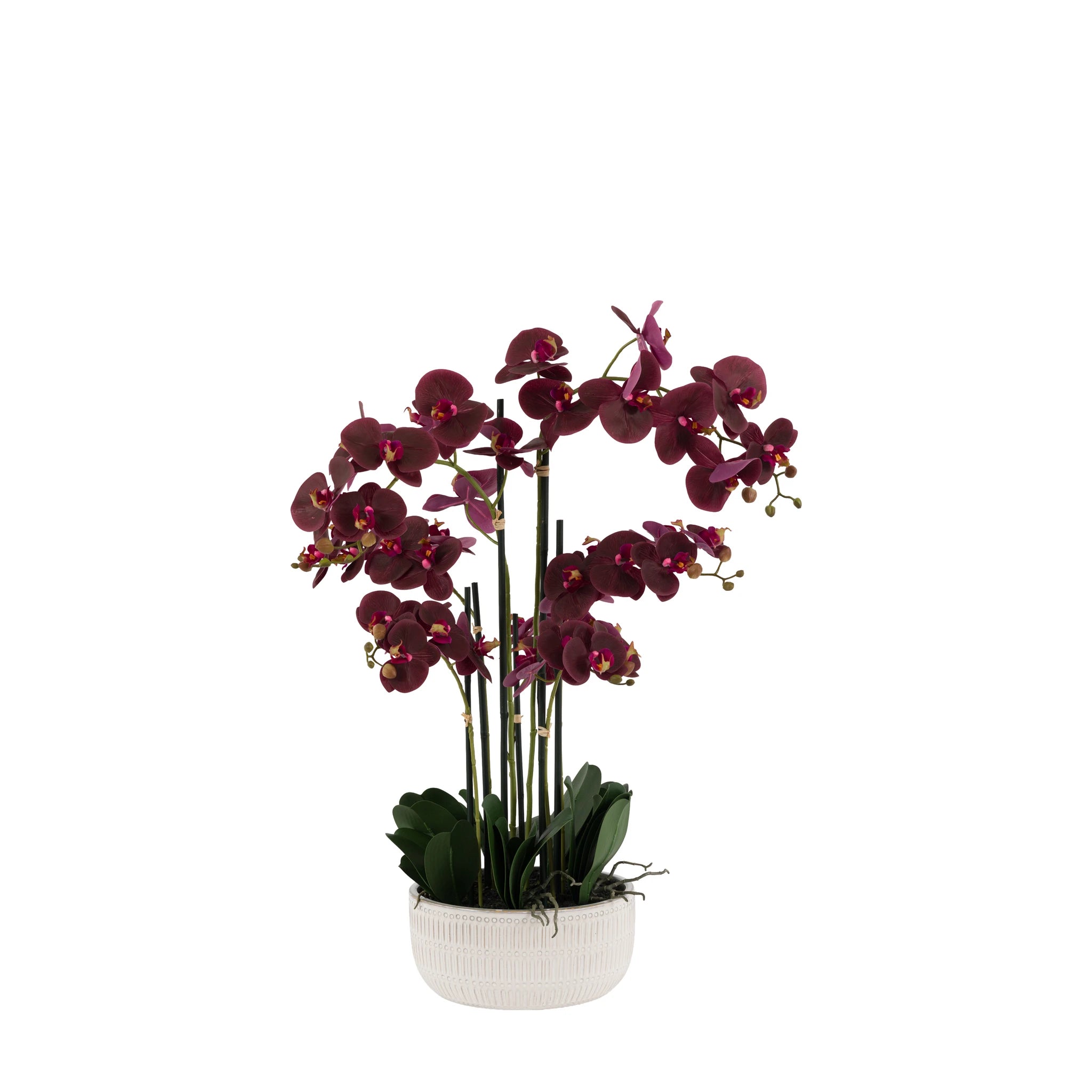 Aegeus Real Touch Plum Ridged Ceramic Pot Faux Orchid