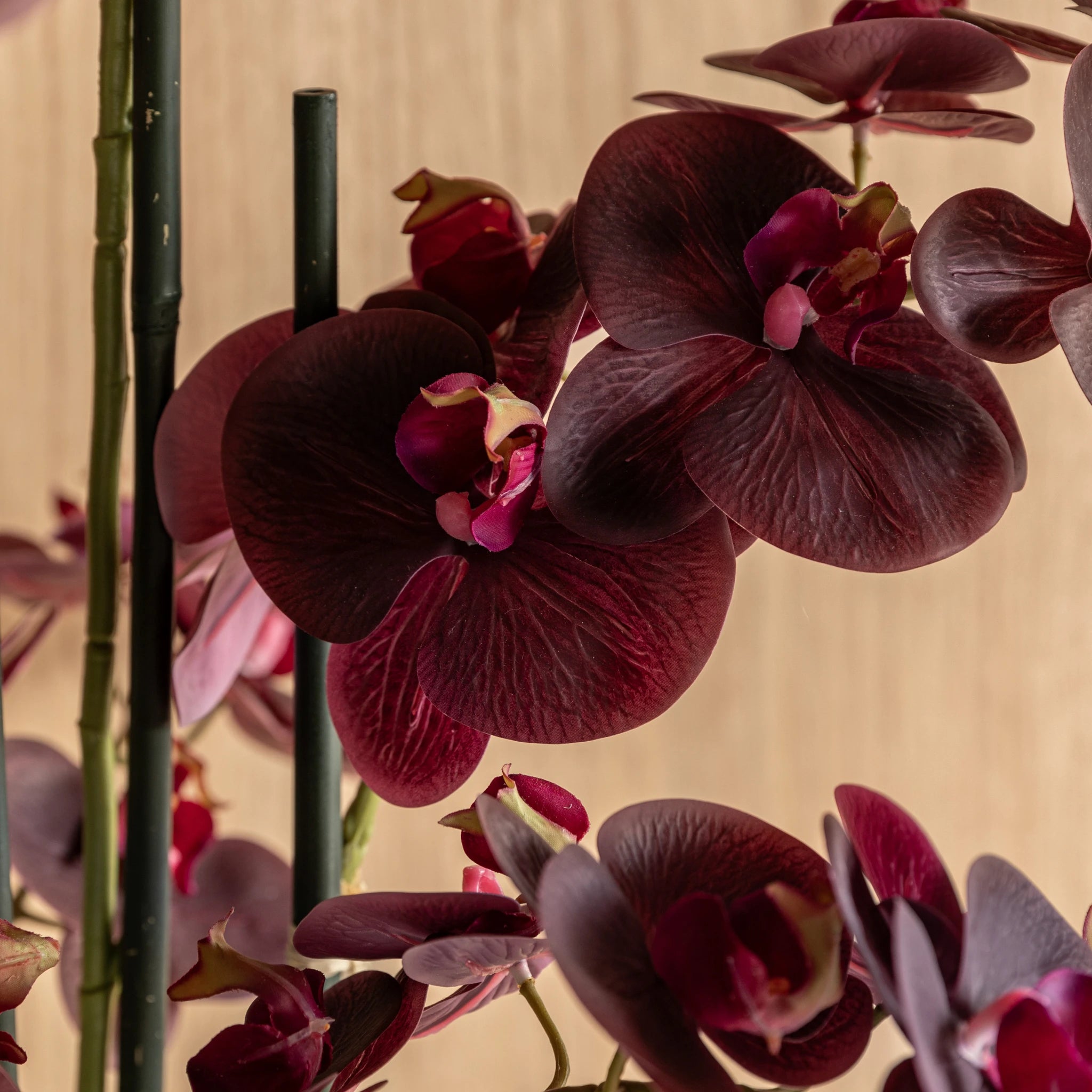 Aegeus Real Touch Plum Ridged Ceramic Pot Faux Orchid